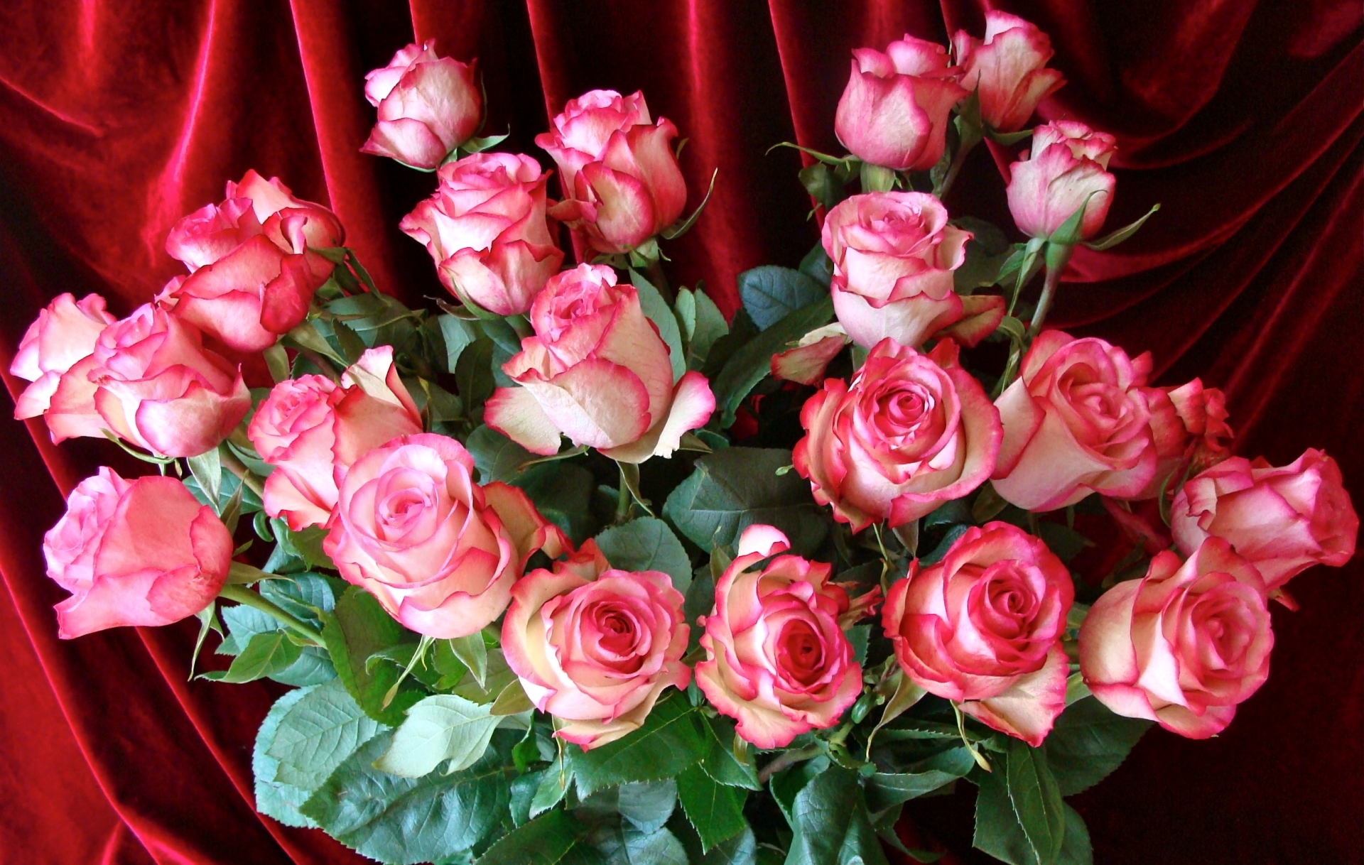 Завантажити шпалери безкоштовно Квітка, Роза, Букет, Земля, Рожева Троянда, Флауерзи картинка на робочий стіл ПК