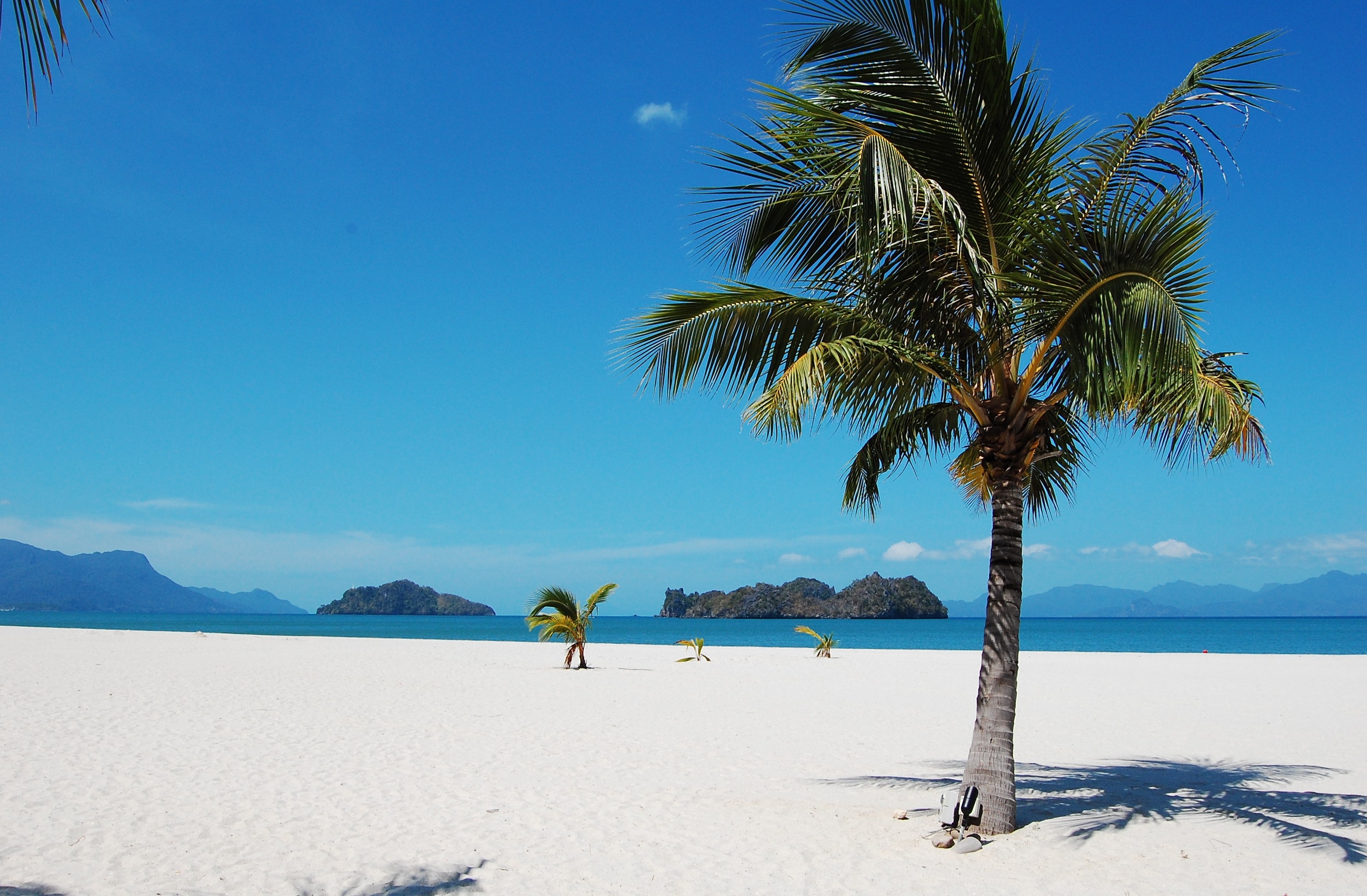 Laden Sie das Sommer, Natur, Sand, Sea, Tropen, Palms-Bild kostenlos auf Ihren PC-Desktop herunter