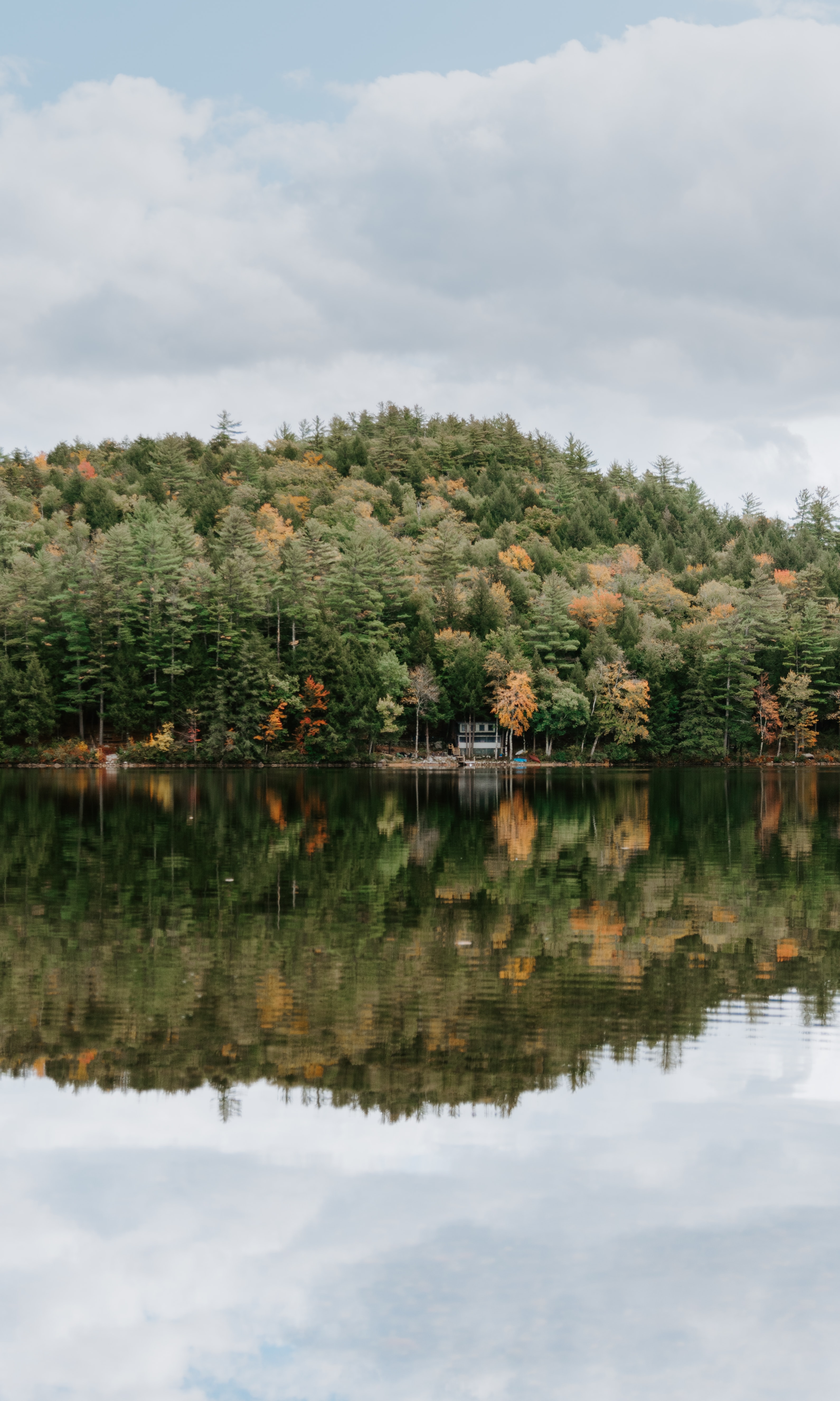 Descarga gratis la imagen Naturaleza, Árboles, Cielo, Lago, Bosque, Reflexión en el escritorio de tu PC