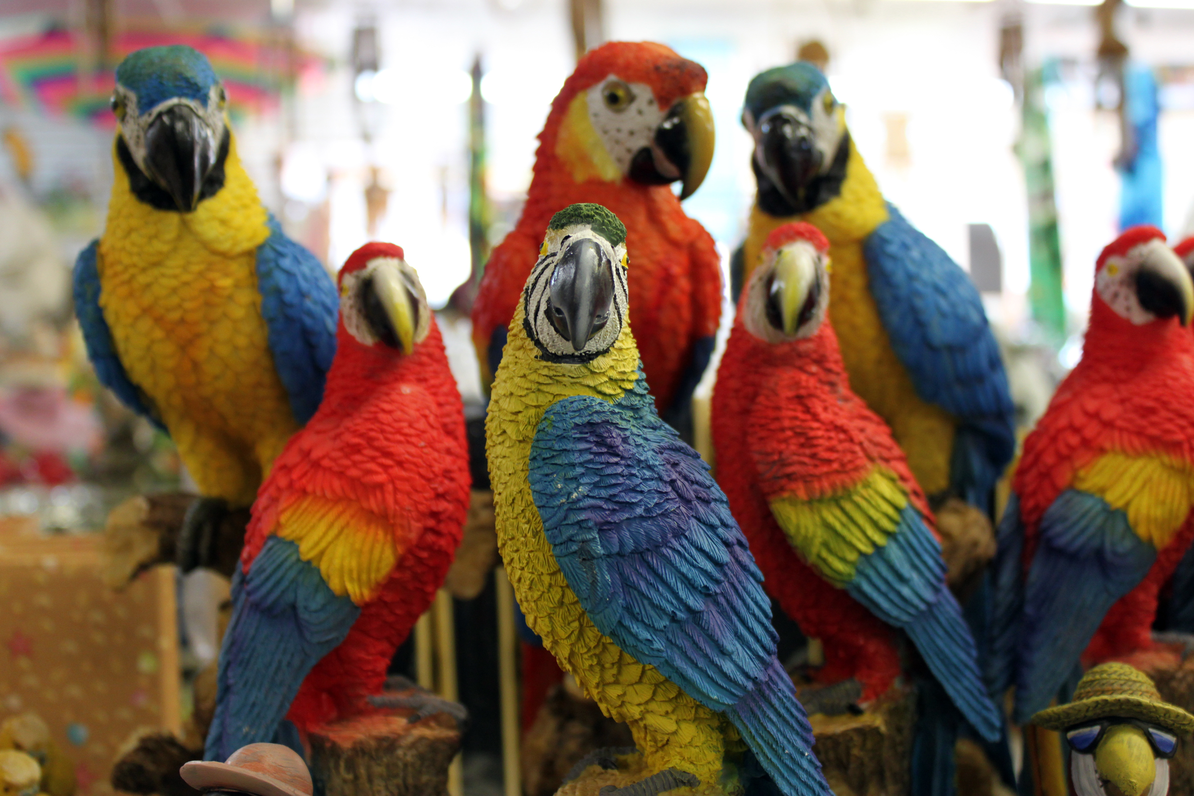 animal, macaw, bird, blue and yellow macaw, parrot, scarlet macaw, toy, birds