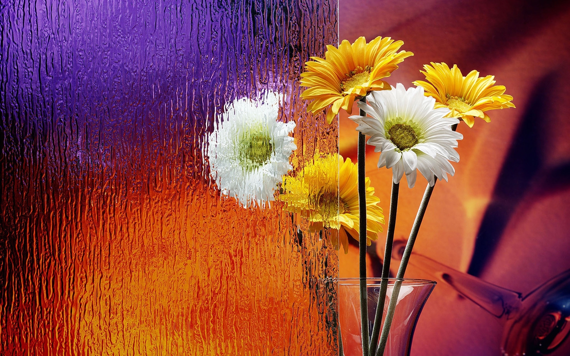 Free download wallpaper Flowers, Plants, Objects on your PC desktop