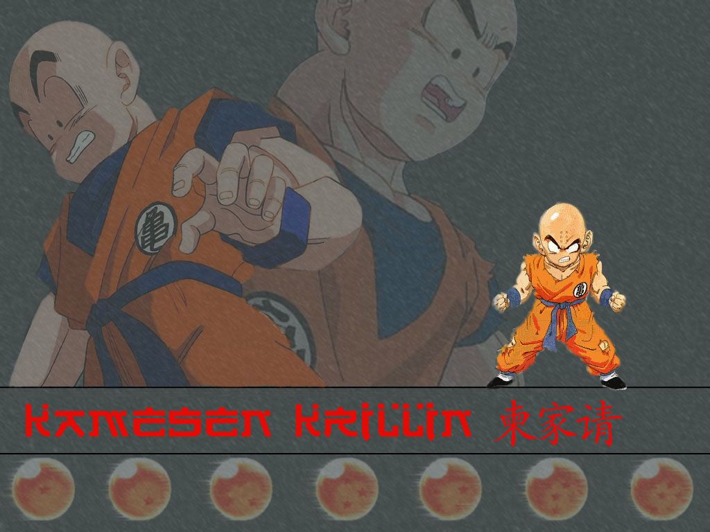 Free download wallpaper Anime, Dragon Ball Z, Krillin (Dragon Ball) on your PC desktop