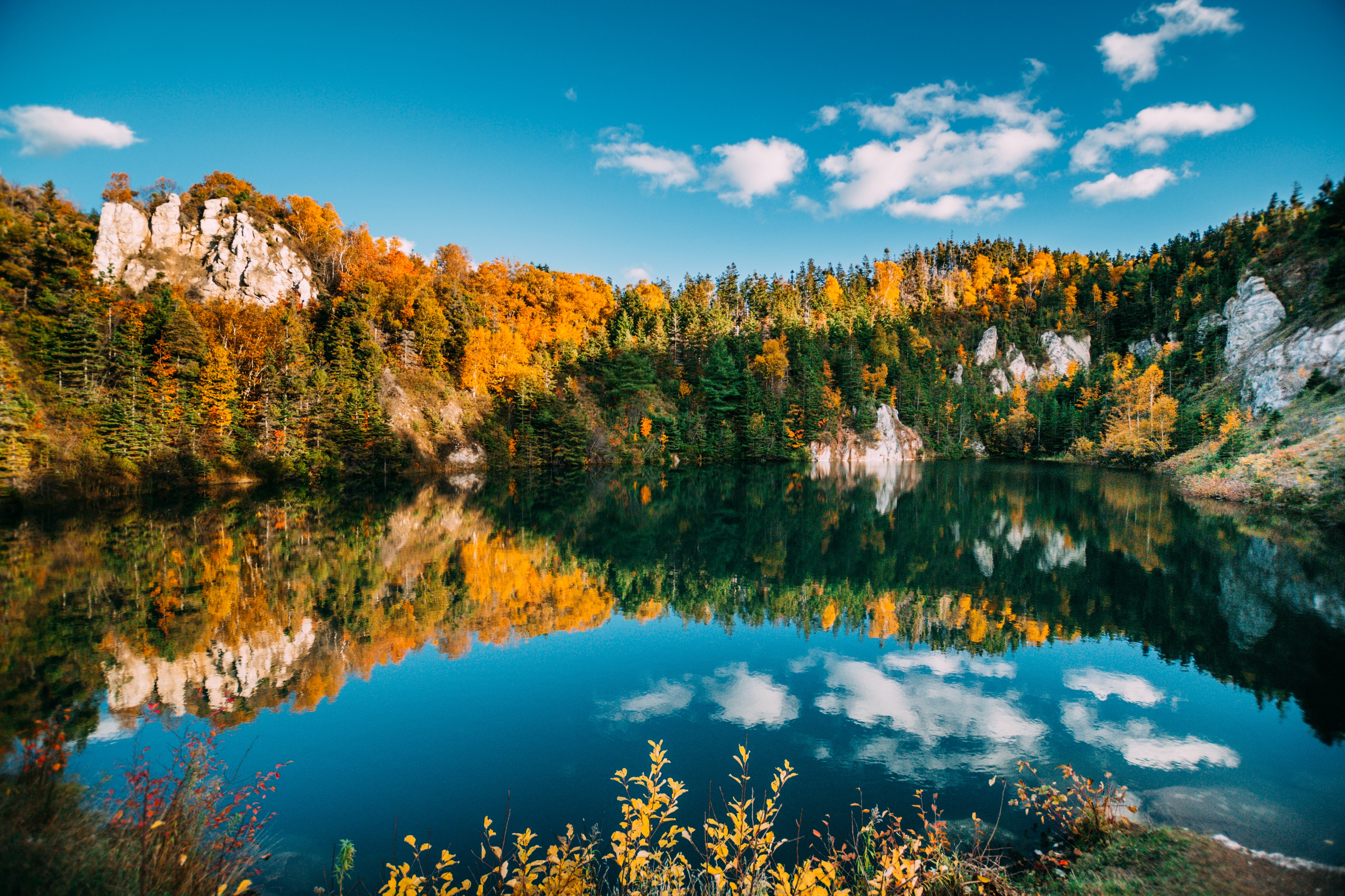 autumn, nature, water, trees, lake, reflection