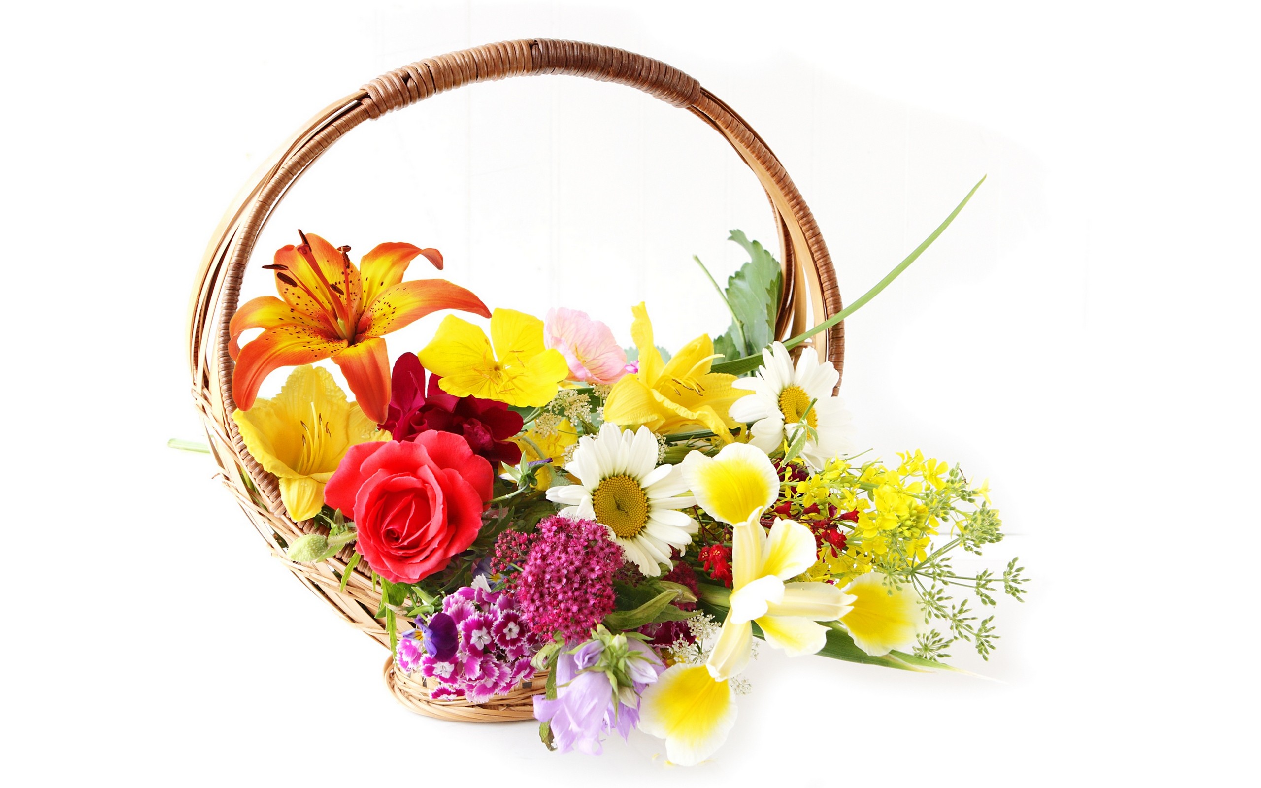 無料モバイル壁紙花, 色, カラフル, バスケット, 黄色い花, 白い花, 赤い花, マンメイド, 紫色の花をダウンロードします。