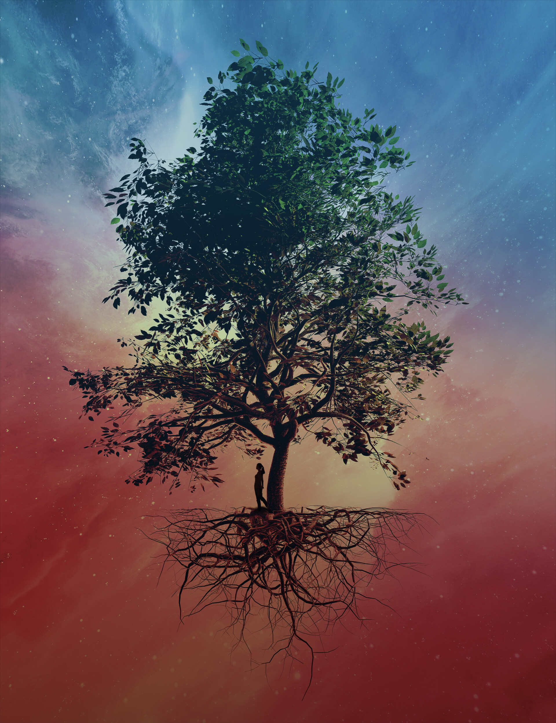 Download mobile wallpaper Tree, Art, Wood, Sky, Silhouette for free.