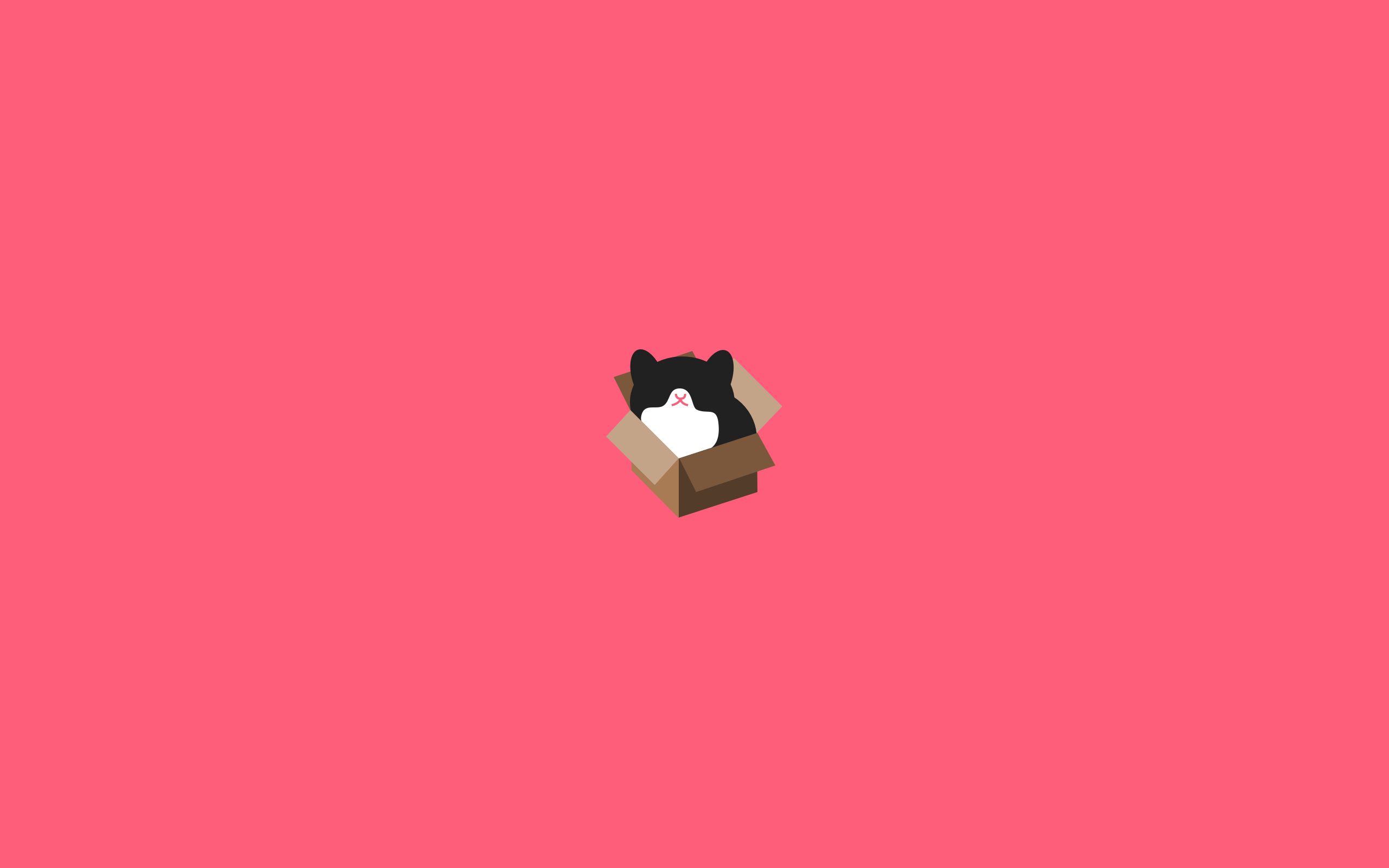 Free download wallpaper Box, Cat, Picture, Drawing, Minimalism on your PC desktop