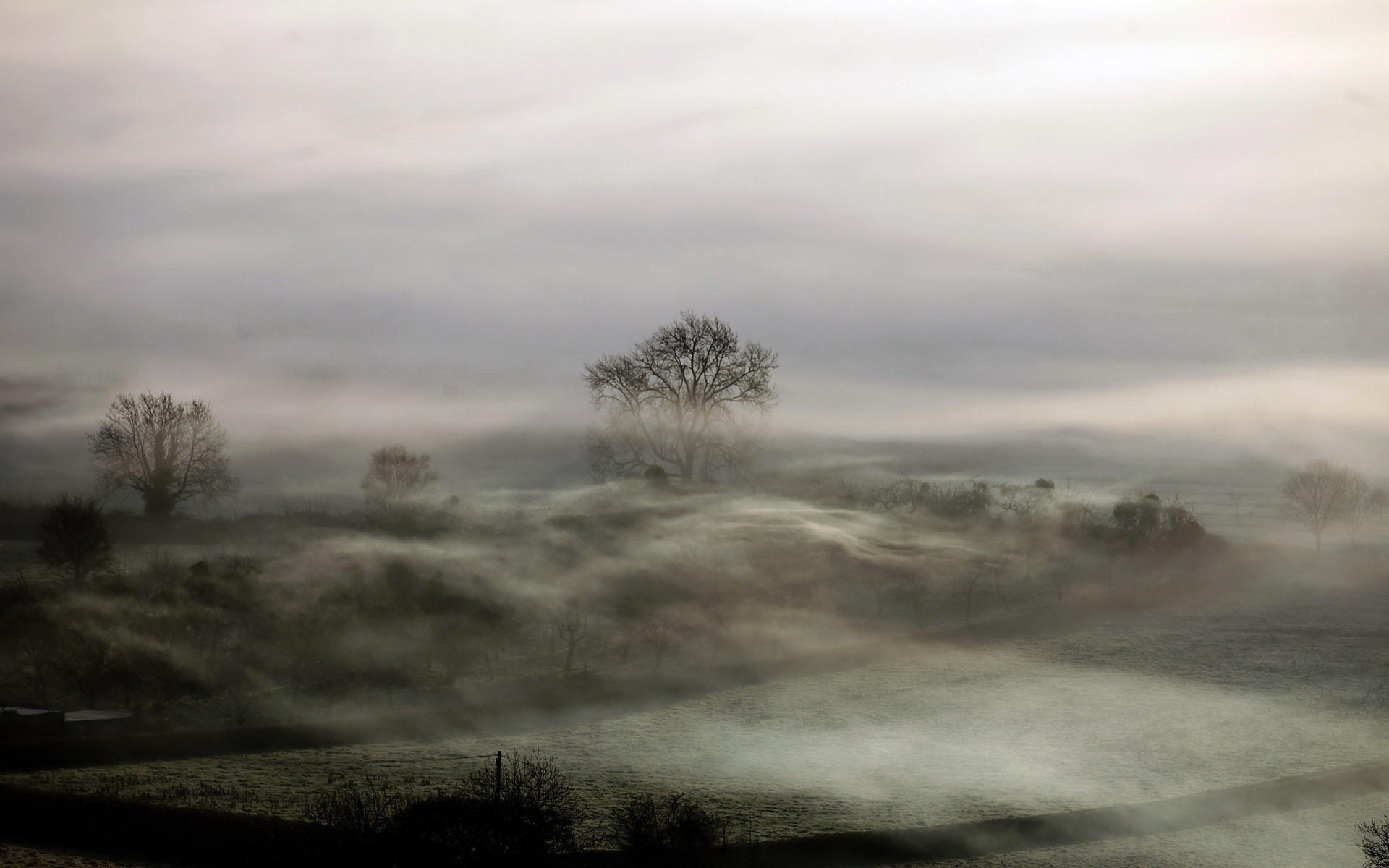 Free download wallpaper Landscape, Forest, Fog, Earth on your PC desktop