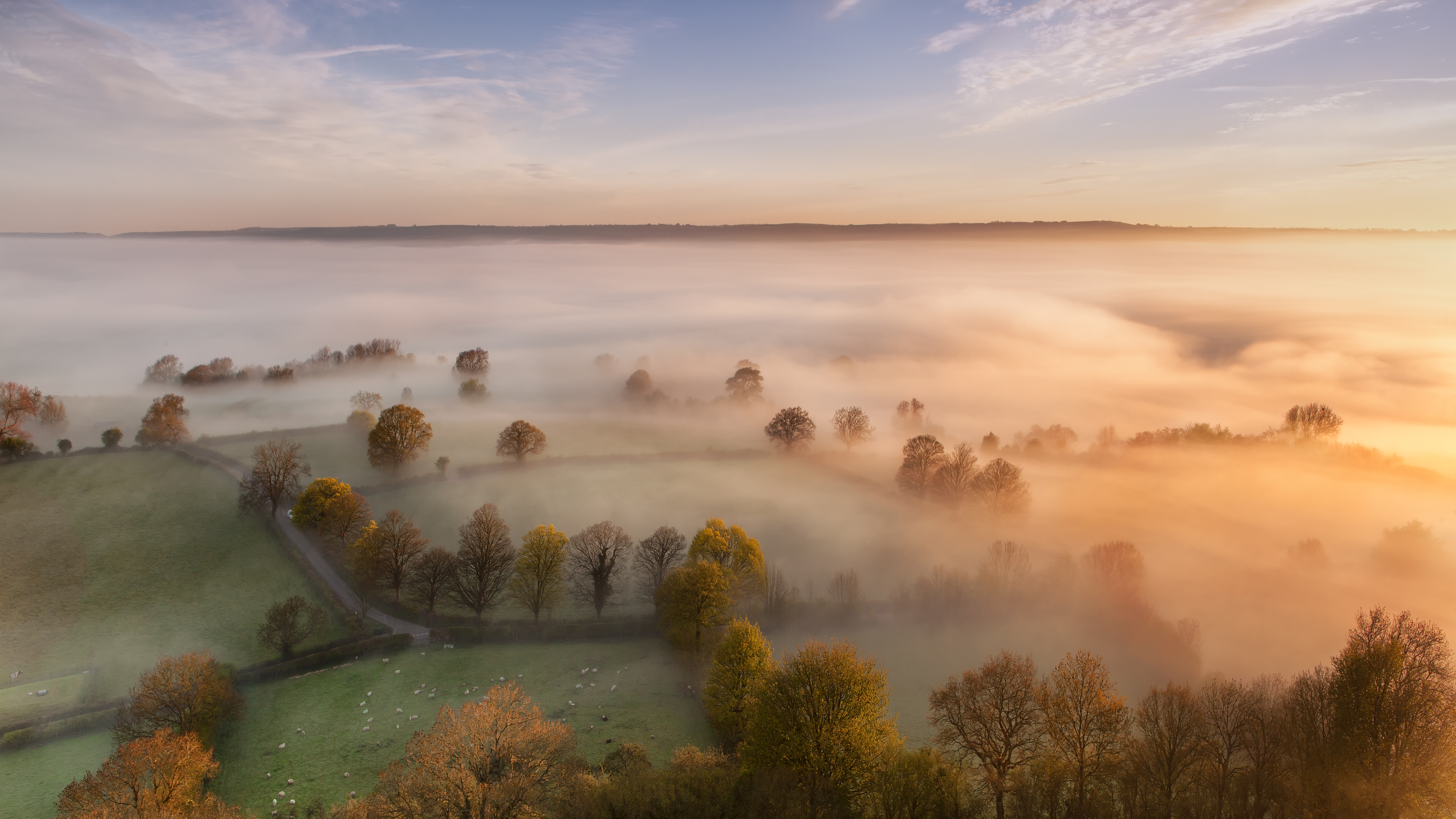 Baixe gratuitamente a imagem Terra/natureza, Neblina na área de trabalho do seu PC