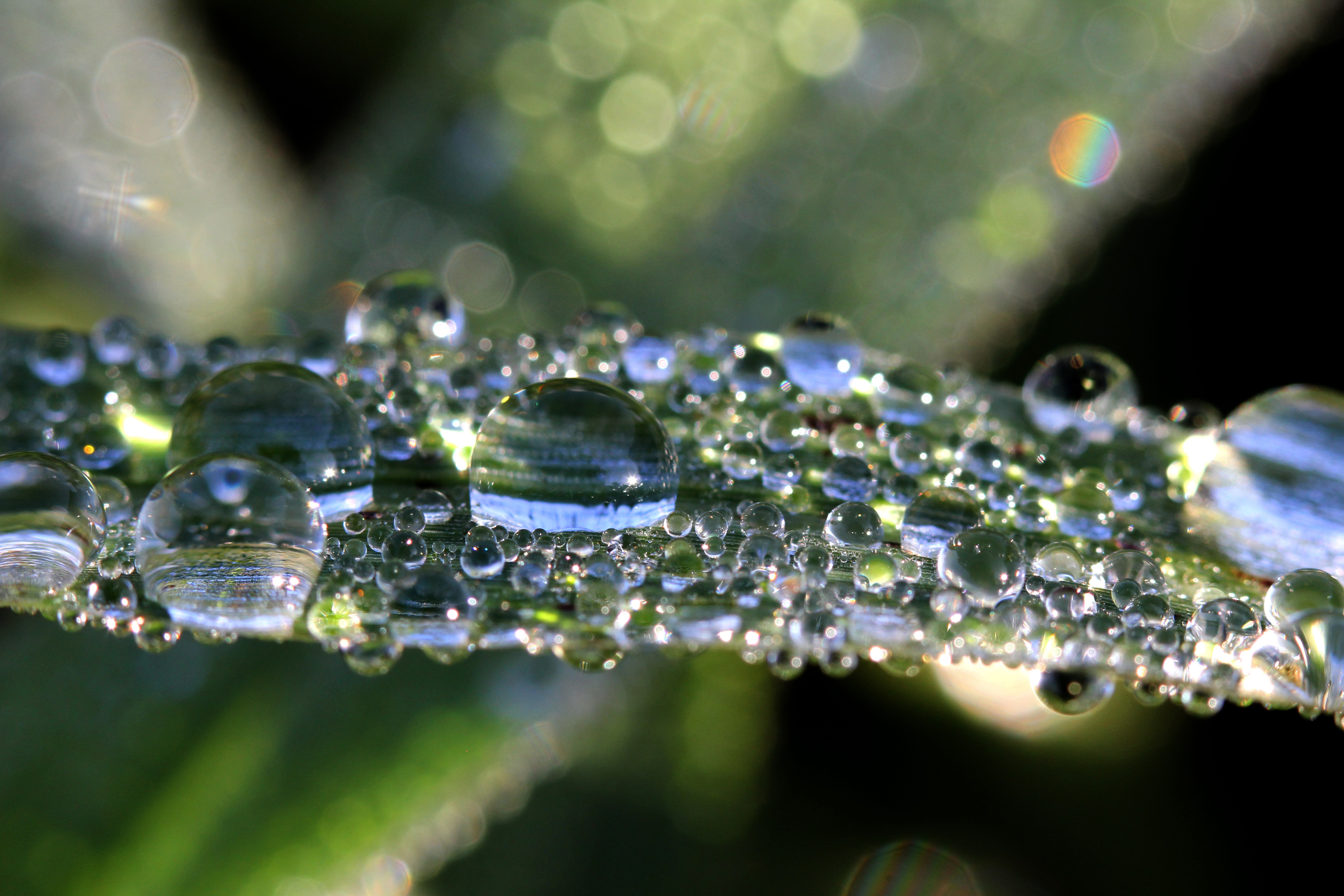 Free download wallpaper Nature, Reflection, Macro, Earth, Water Drop on your PC desktop