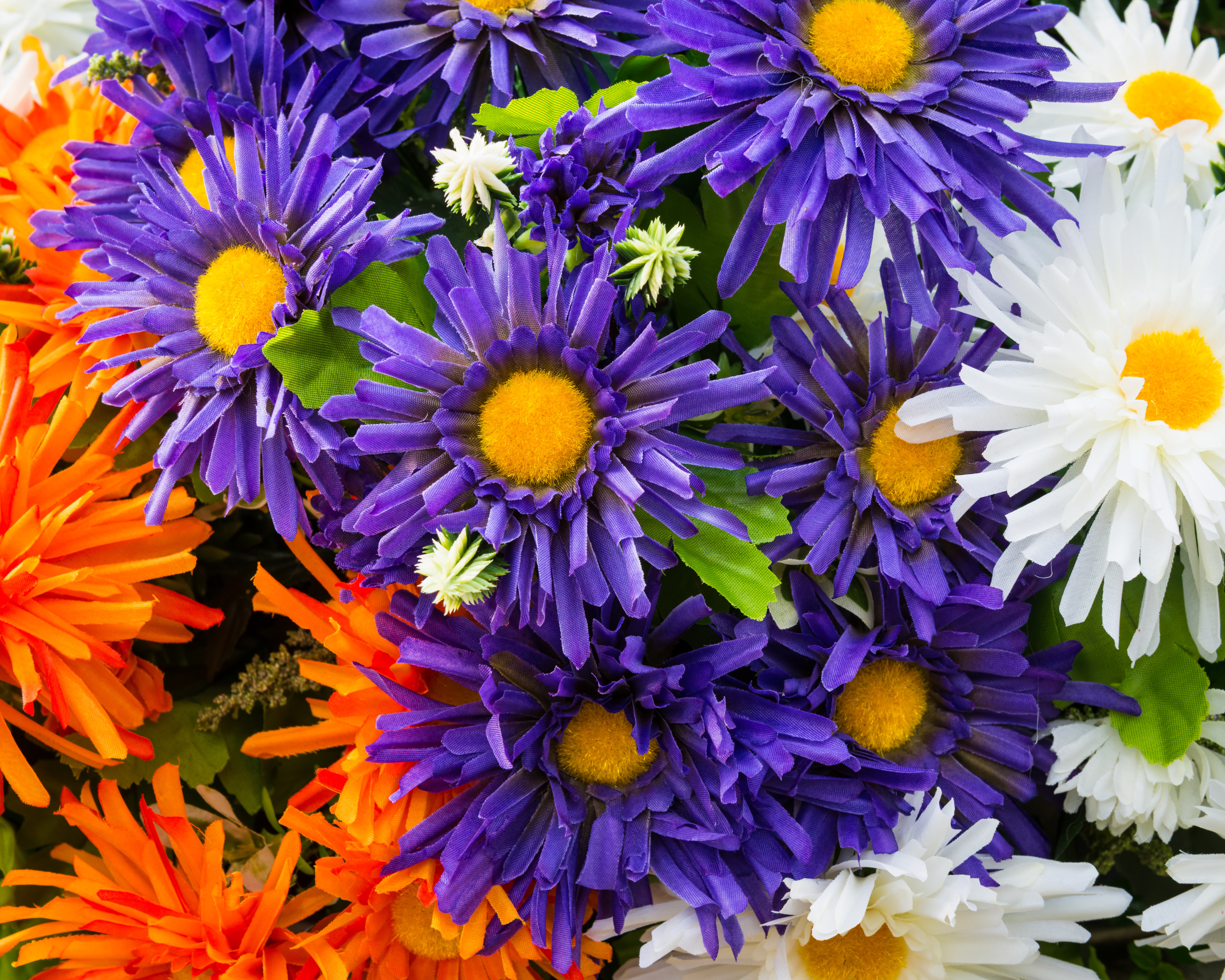 Laden Sie das Natur, Blumen, Blume, Weiße Blume, Lila Blume, Erde/natur, Orangene Blume-Bild kostenlos auf Ihren PC-Desktop herunter