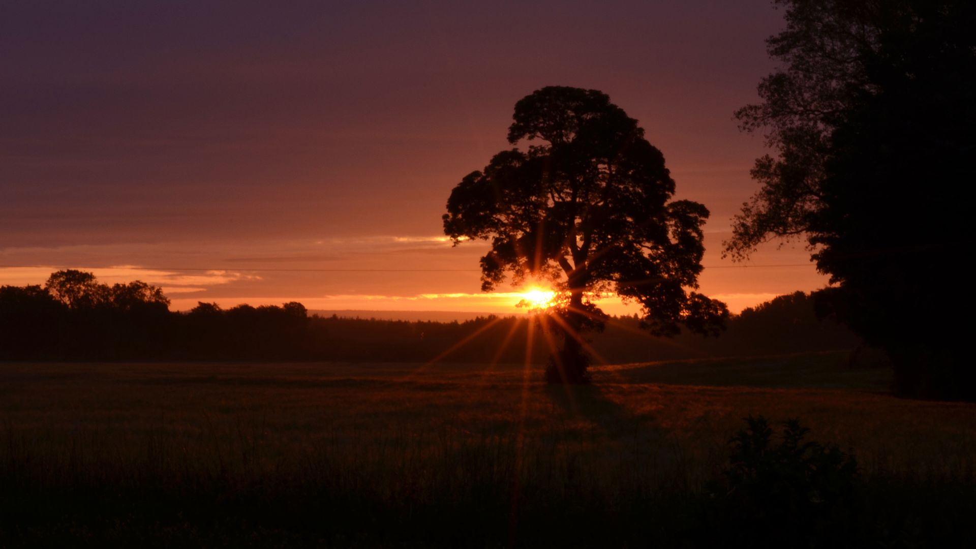 Free download wallpaper Nature, Light, Tree, Sunrise, Earth, Sunbeam on your PC desktop