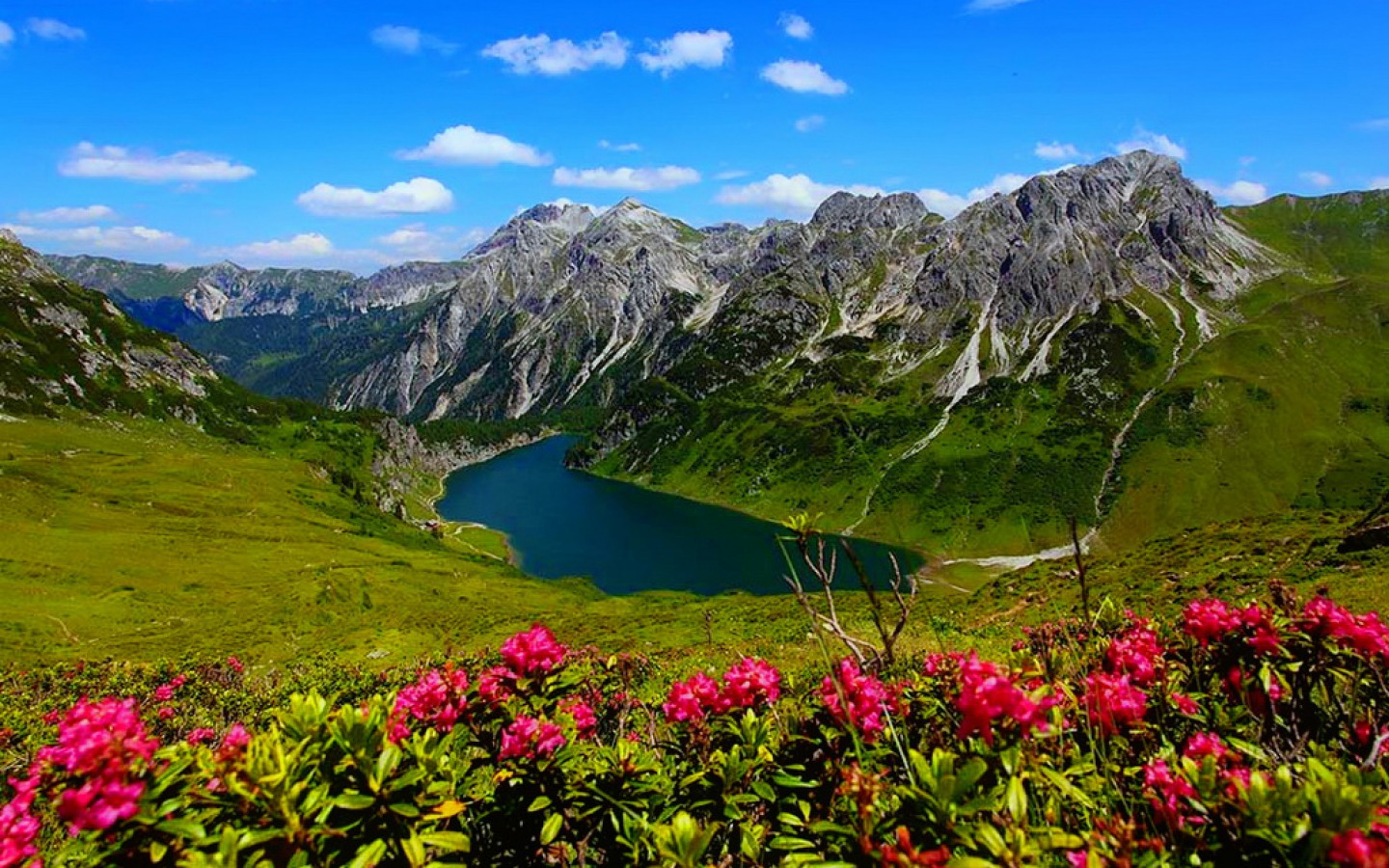 Download mobile wallpaper Landscape, Mountain, Lake, Flower, Earth, Spring for free.
