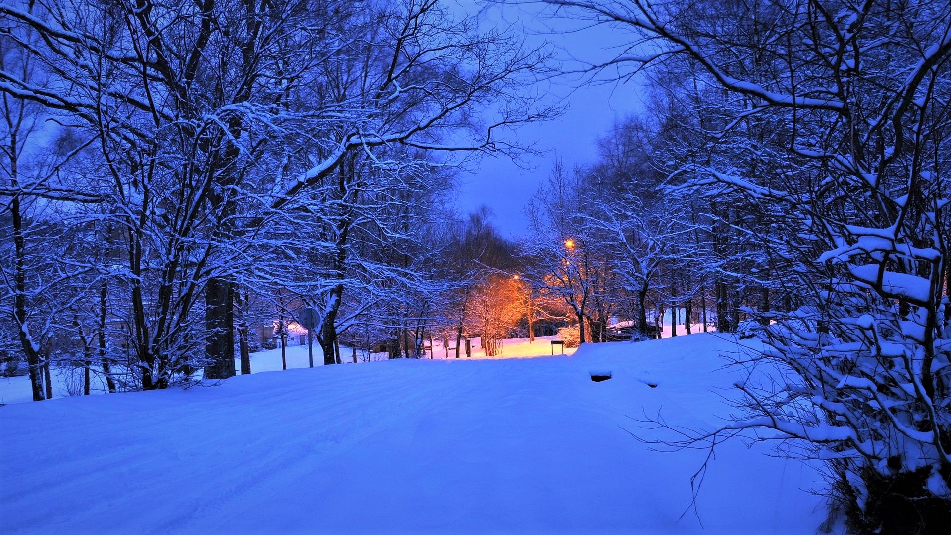 Baixar papel de parede para celular de Inverno, Crepúsculo, Neve, Luz, Estrada, Árvore, Fotografia gratuito.