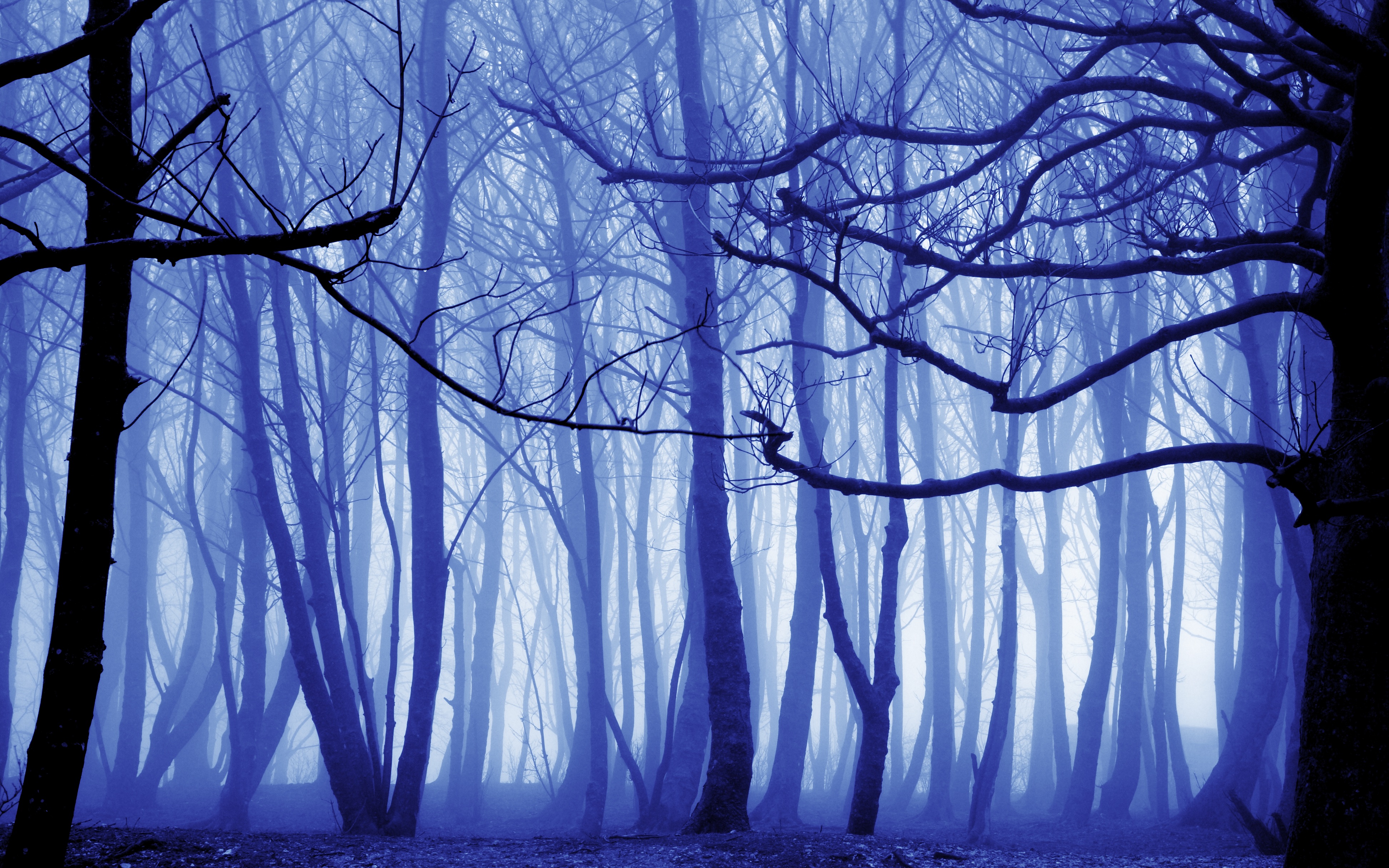Download mobile wallpaper Surreal, Winter, Forest, Fog, Earth for free.