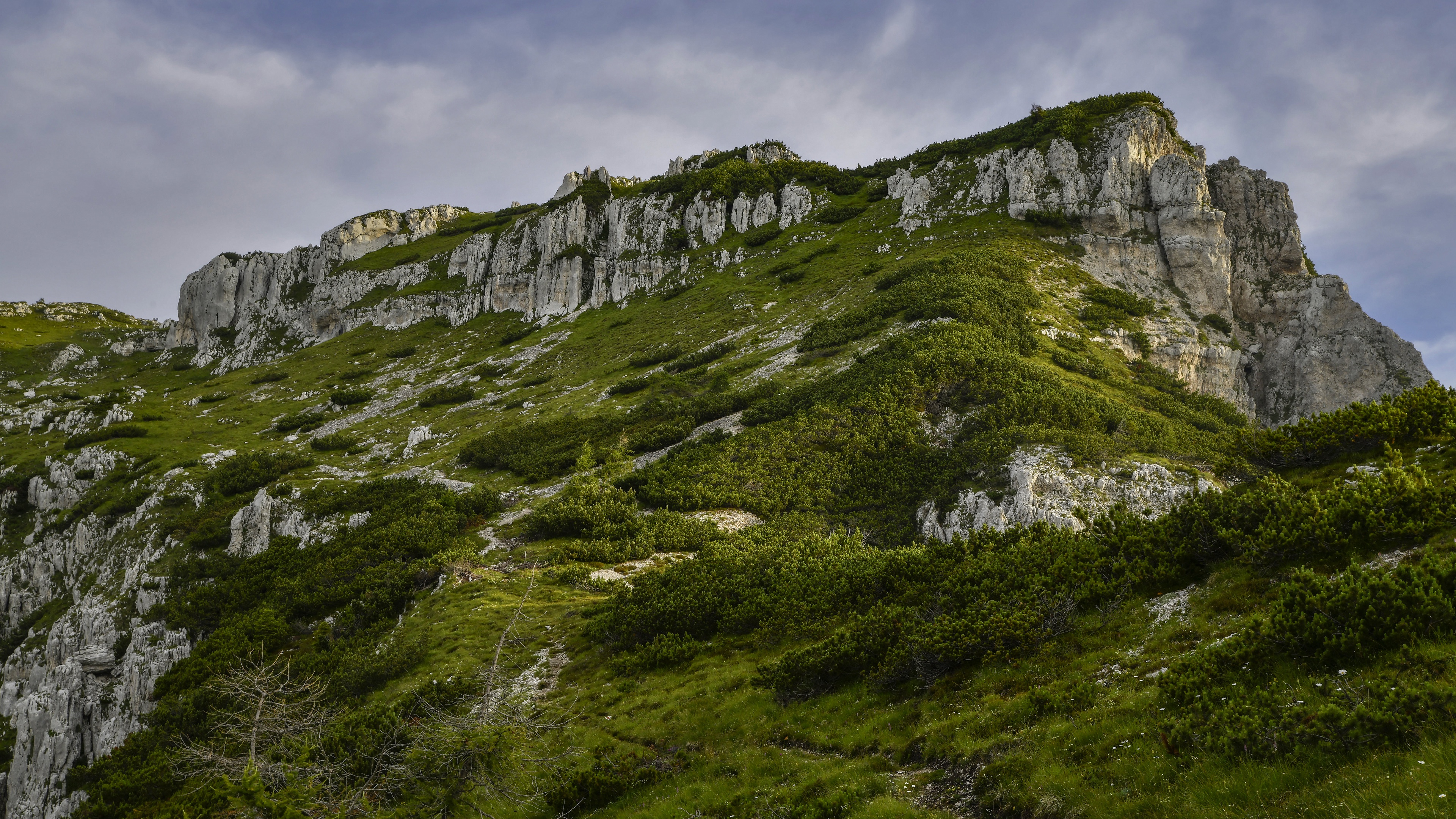 Download mobile wallpaper Mountains, Mountain, Vegetation, Earth for free.