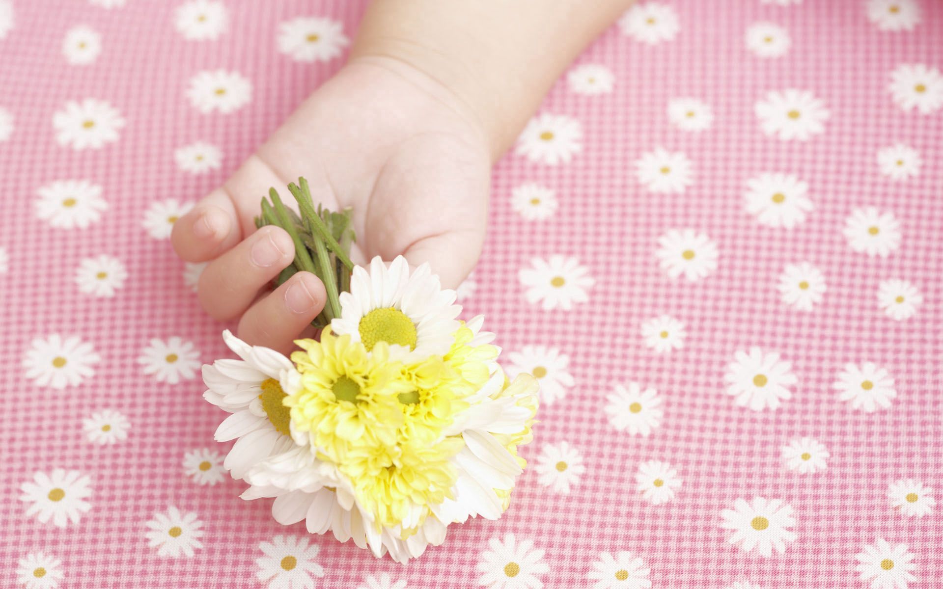 flowers, hand, miscellanea, miscellaneous, kid, tot, child wallpapers for tablet