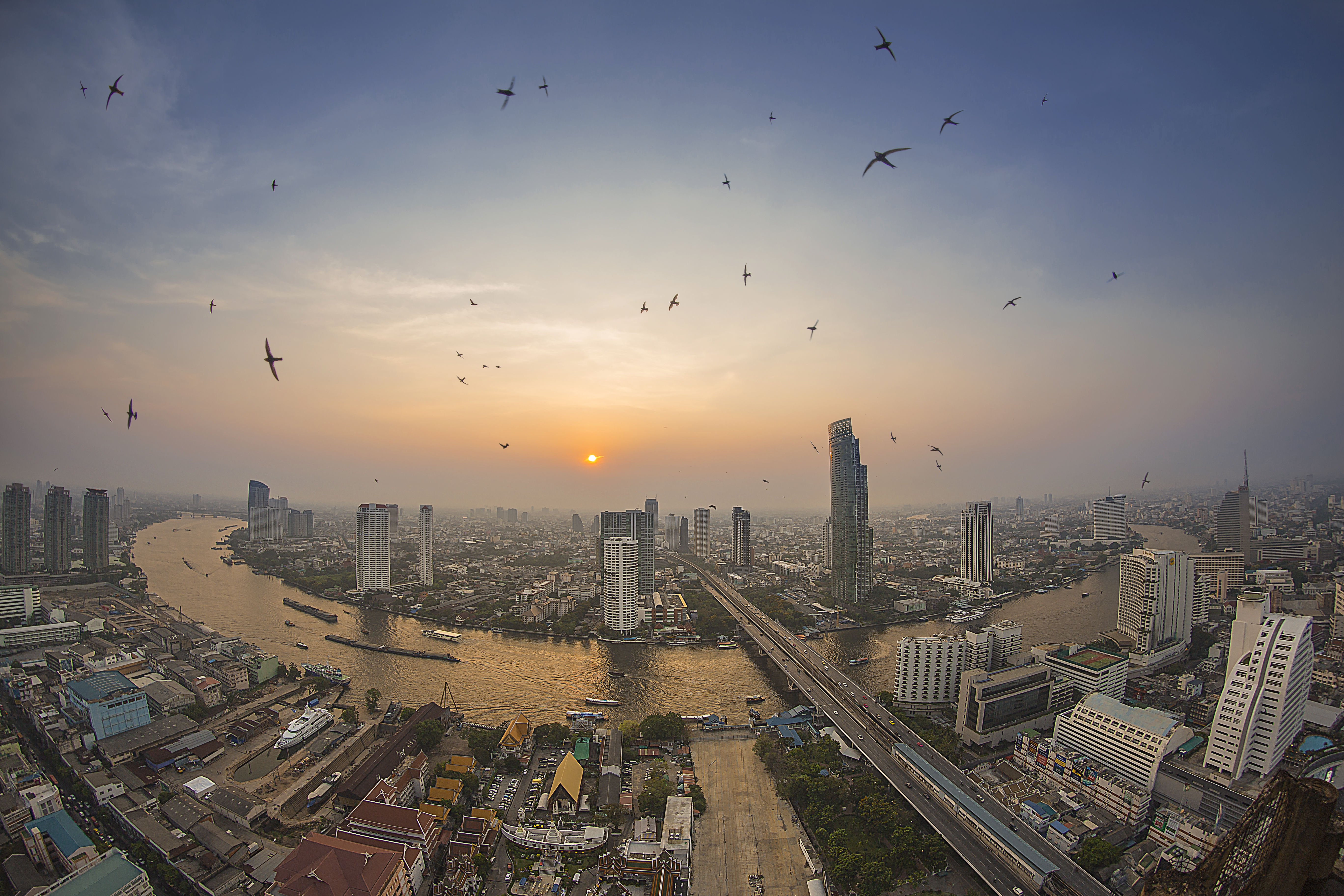 megapolis, thailand, sunset, man made, bangkok, bird, flying, river, sky, sun, swallow, cities
