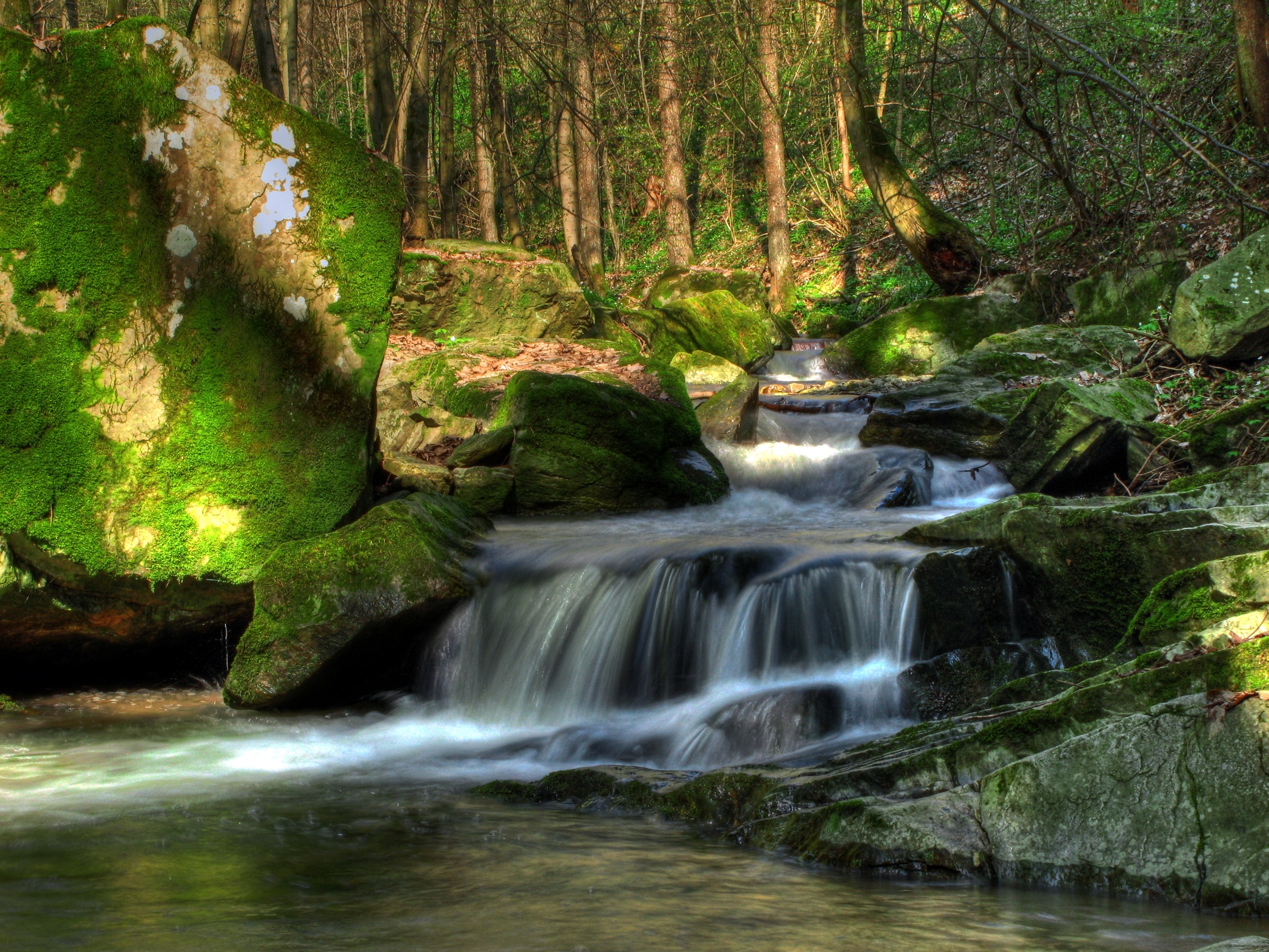 flow, austria, nature, trees, waterfall, vegetation, klein pöchlarn, klein pehlarn, stream lock screen backgrounds