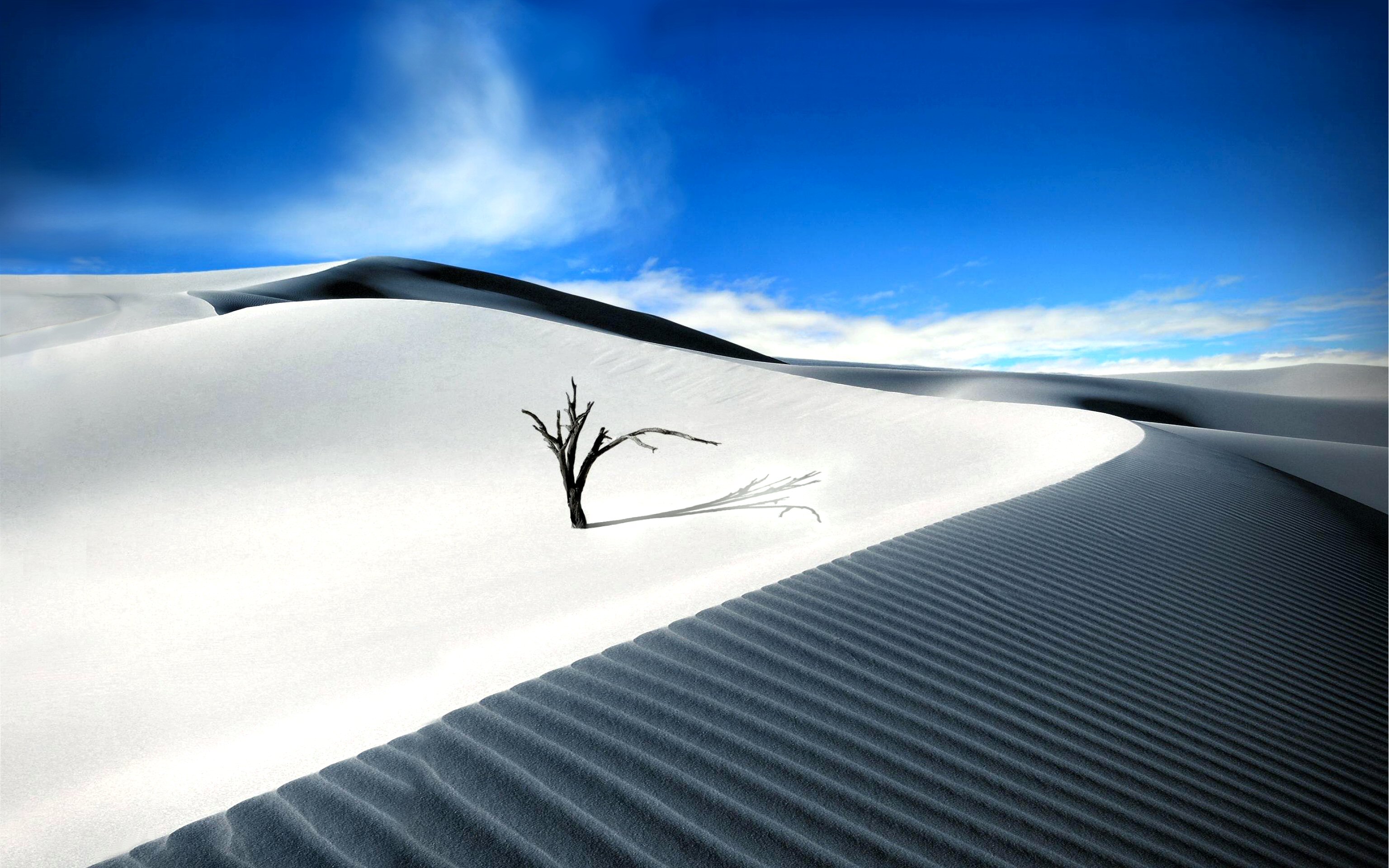 Download mobile wallpaper Sky, Desert, Tree, Earth, Cloud for free.