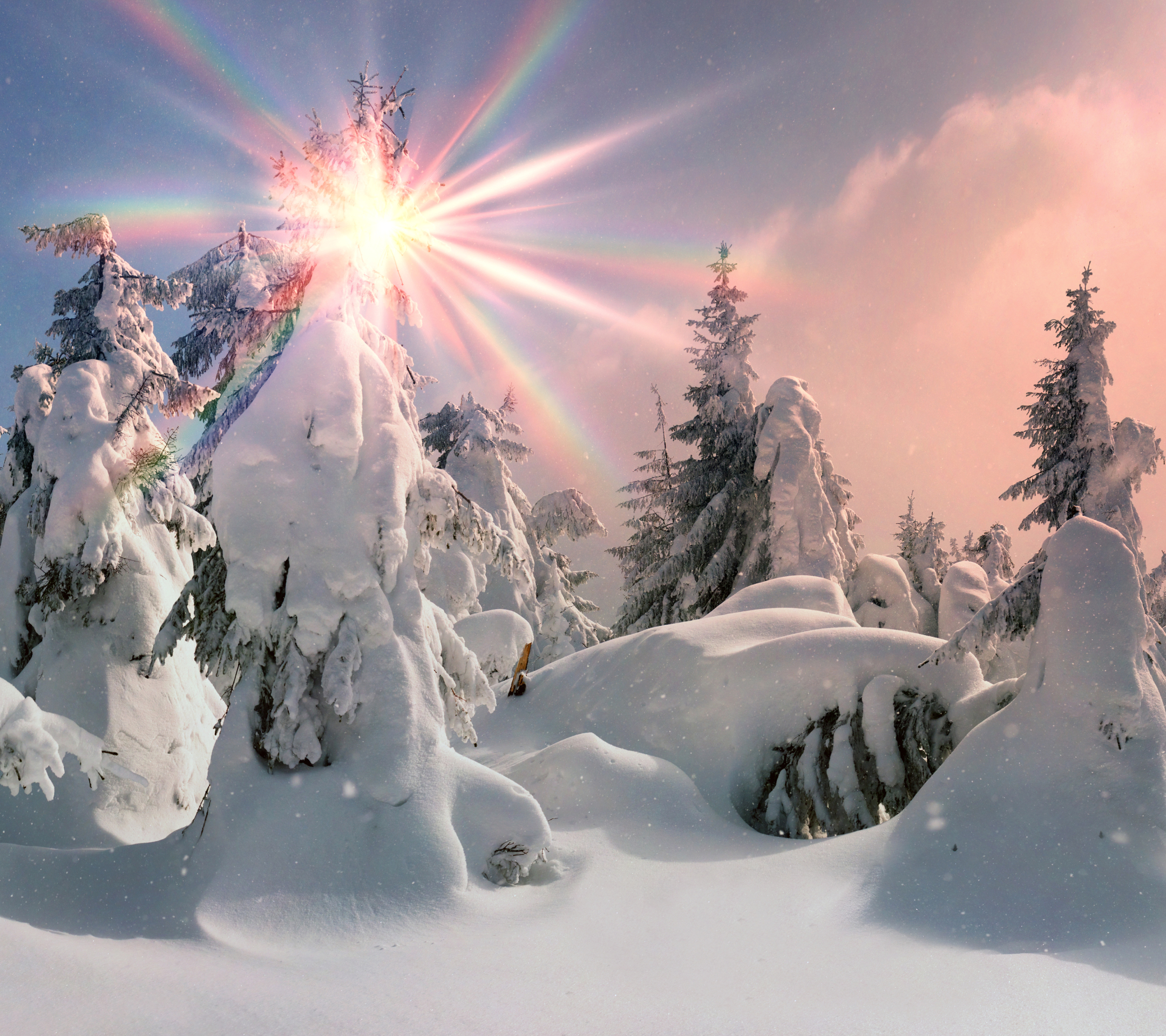 PCデスクトップに冬, 木, 雪, 地球, 日光, サンビーム, サンビーン画像を無料でダウンロード