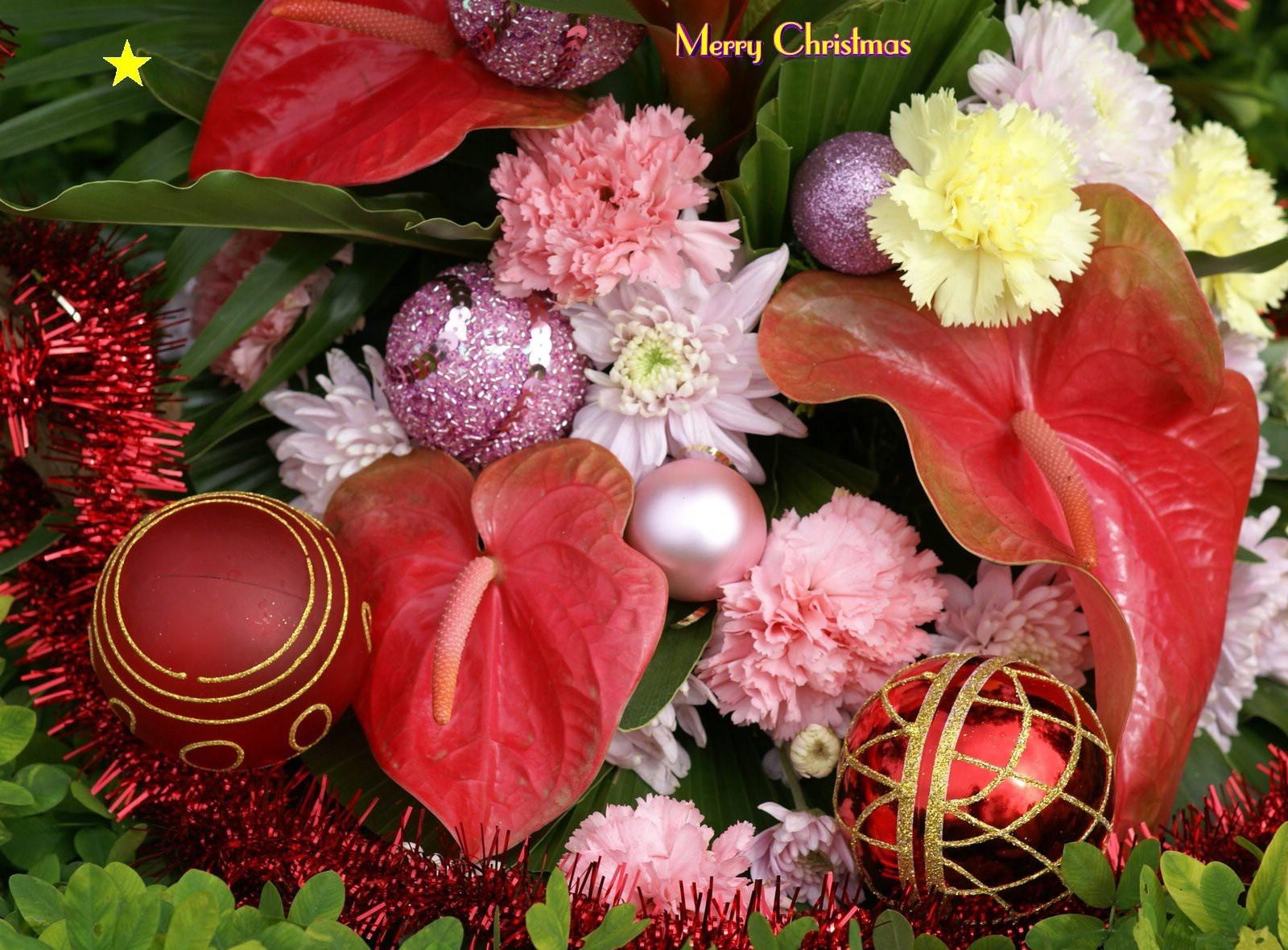 holidays, carnations, christmas, greens, inscription, christmas decorations, christmas tree toys, tinsel, anthurium