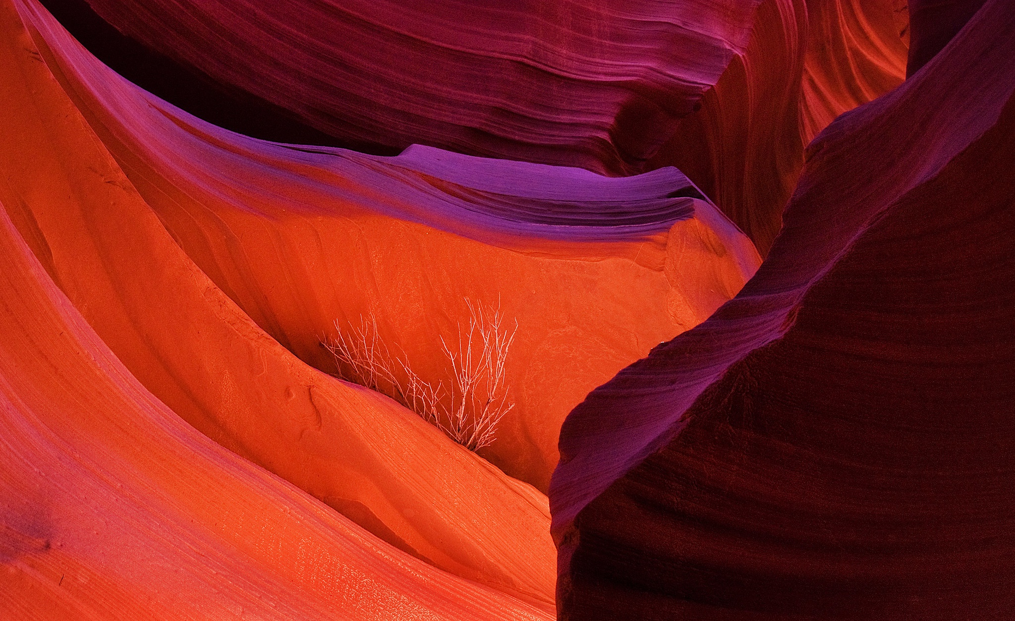 Download mobile wallpaper Usa, Earth, Canyons, Arizona, Antelope Canyon for free.