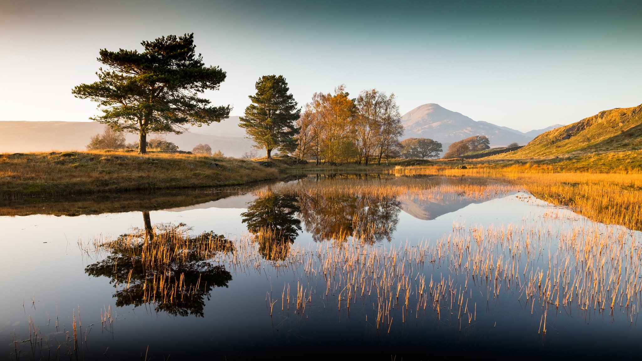 Free download wallpaper Nature, Lake, Reflection, Tree, Earth on your PC desktop