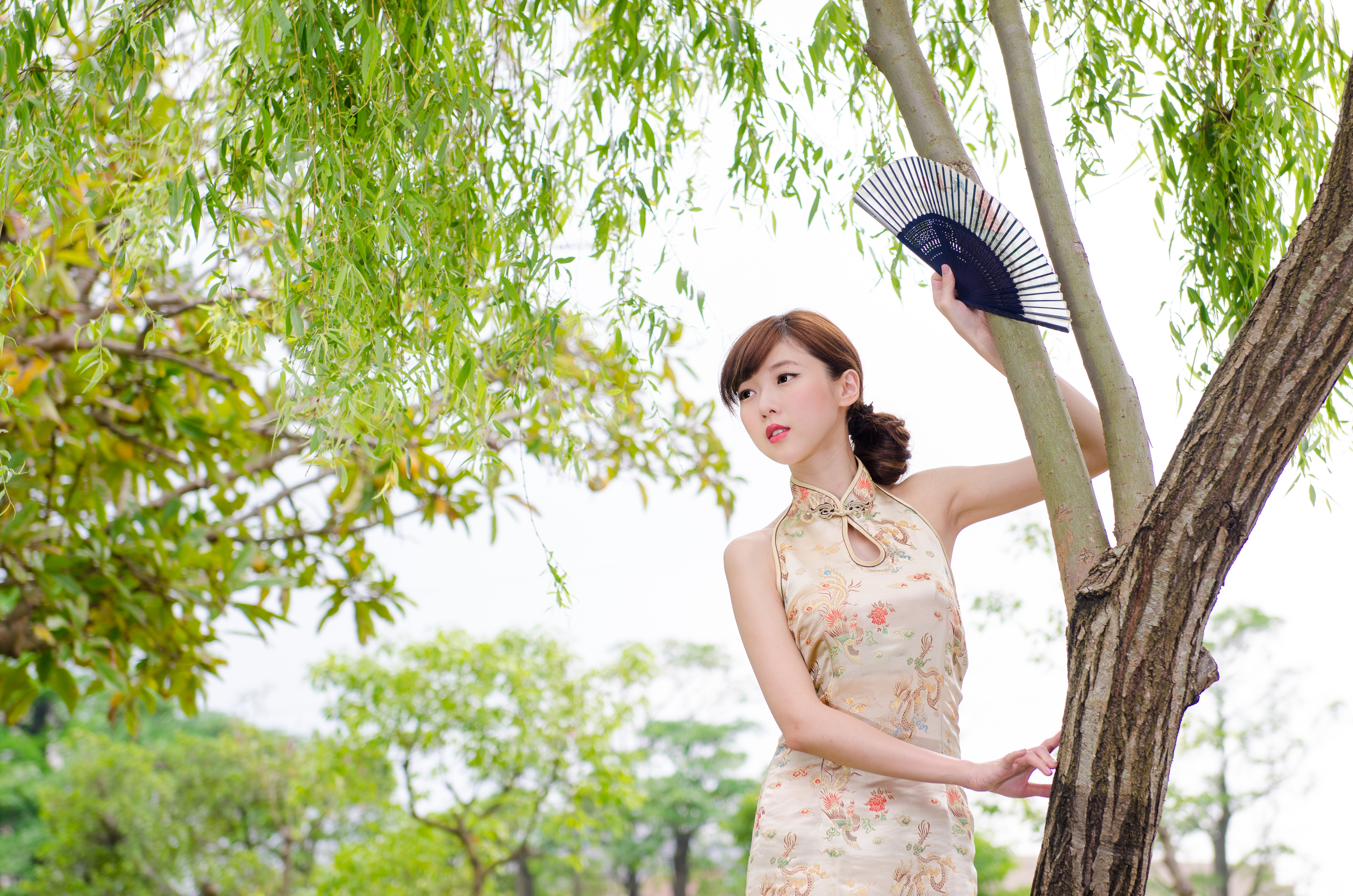 Download mobile wallpaper Park, Tree, Model, Fan, Women, Asian, Taiwanese, Chén Qiáoqiáo for free.
