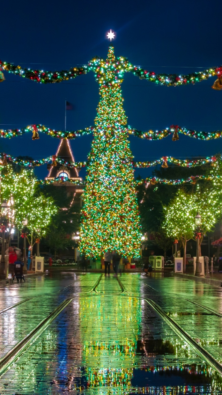 Handy-Wallpaper Feiertage, Weihnachten, Disneyland, Weihnachtsbaum, Kalifornien, Weihnachtsbeleuchtung kostenlos herunterladen.