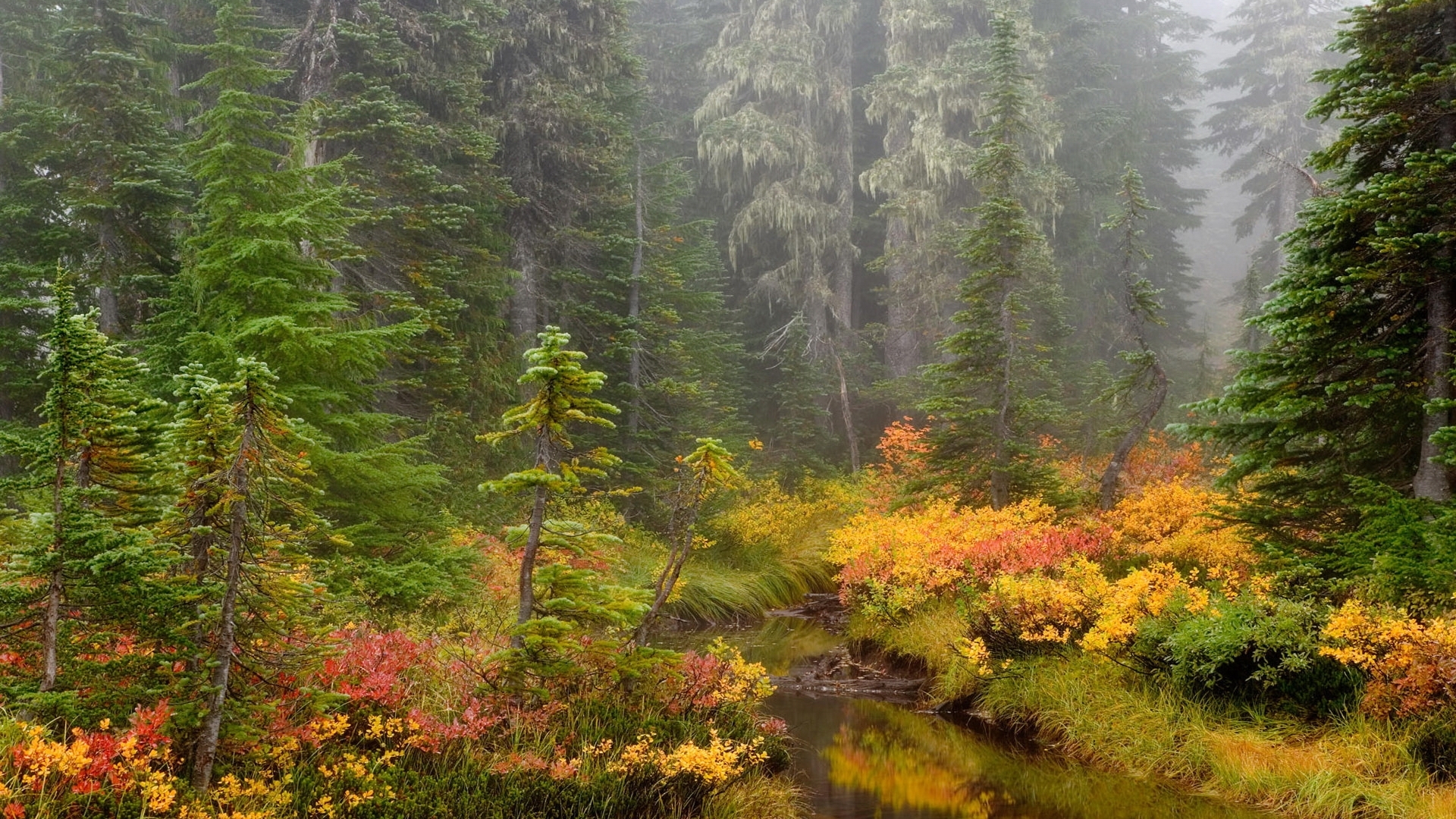 Free download wallpaper Rivers, Trees, Landscape, Autumn on your PC desktop