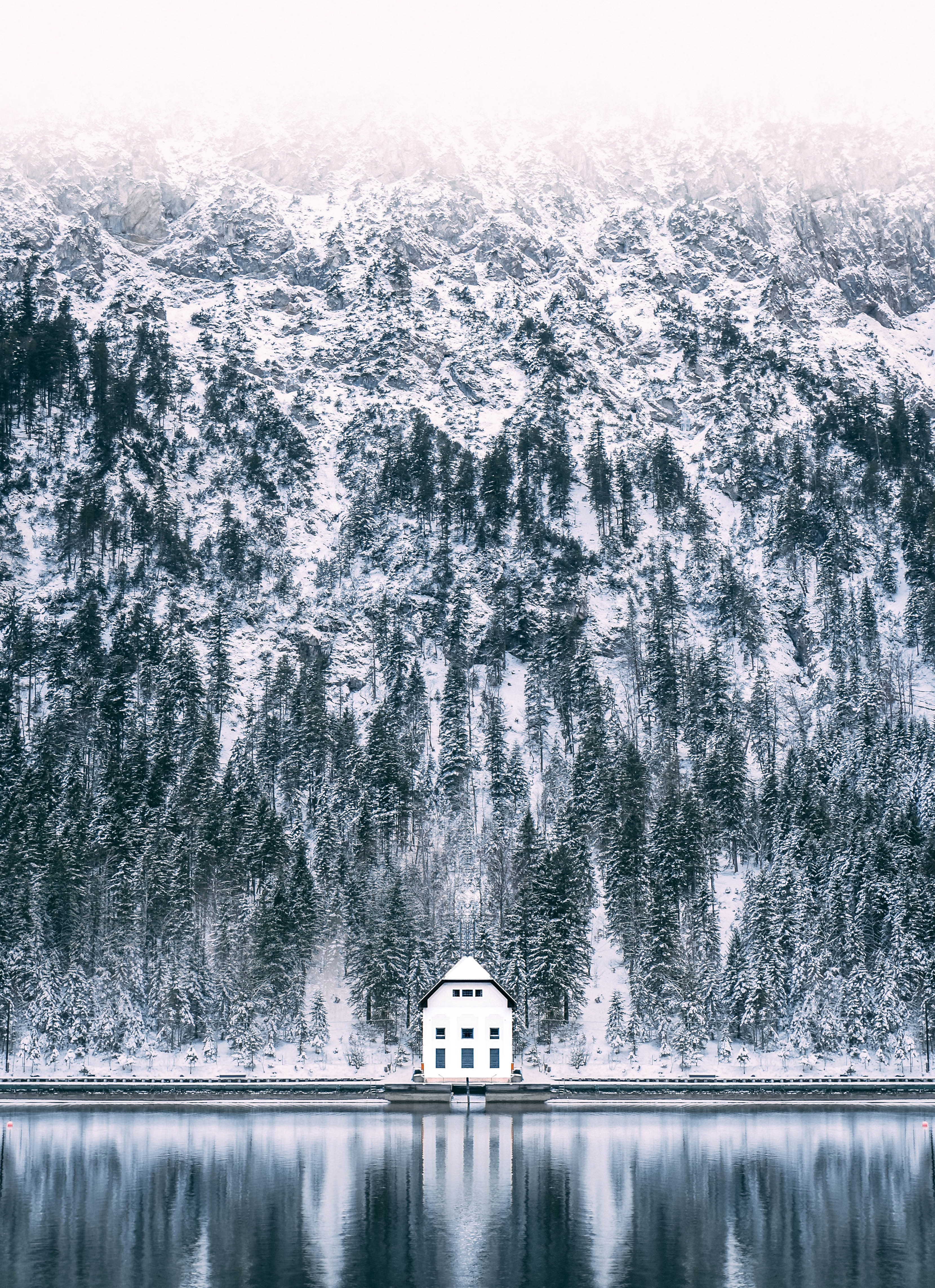 Скачать картинку Снег, Лес, Озеро, Дом, Природа в телефон бесплатно.