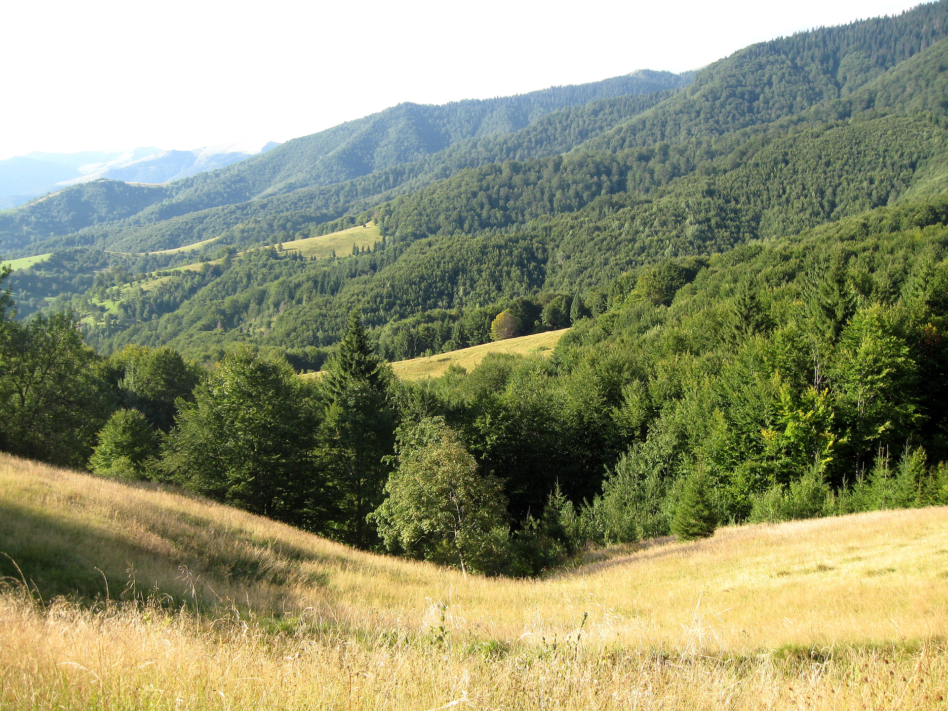 Descarga gratis la imagen Paisaje, Tierra/naturaleza en el escritorio de tu PC