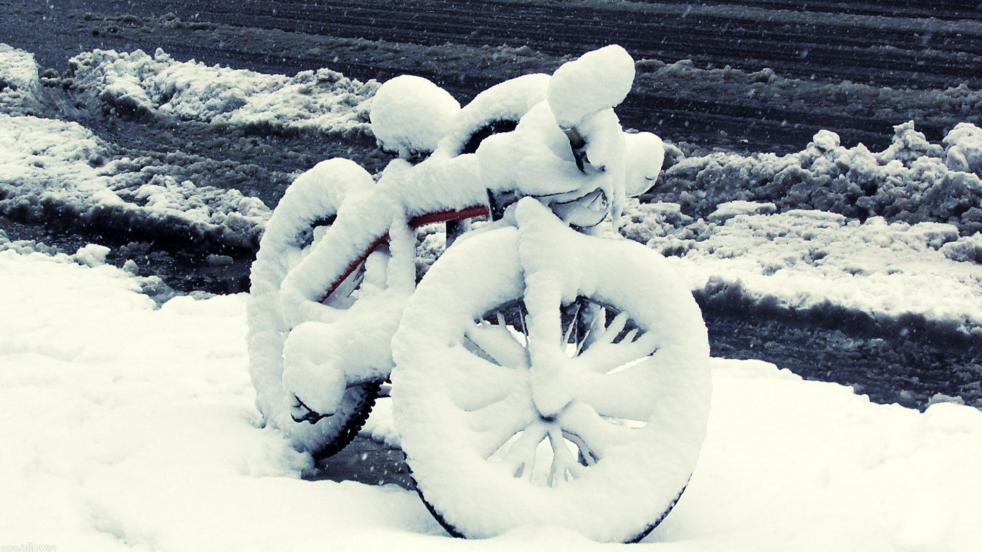 Téléchargez des papiers peints mobile Hiver, Photographie gratuitement.