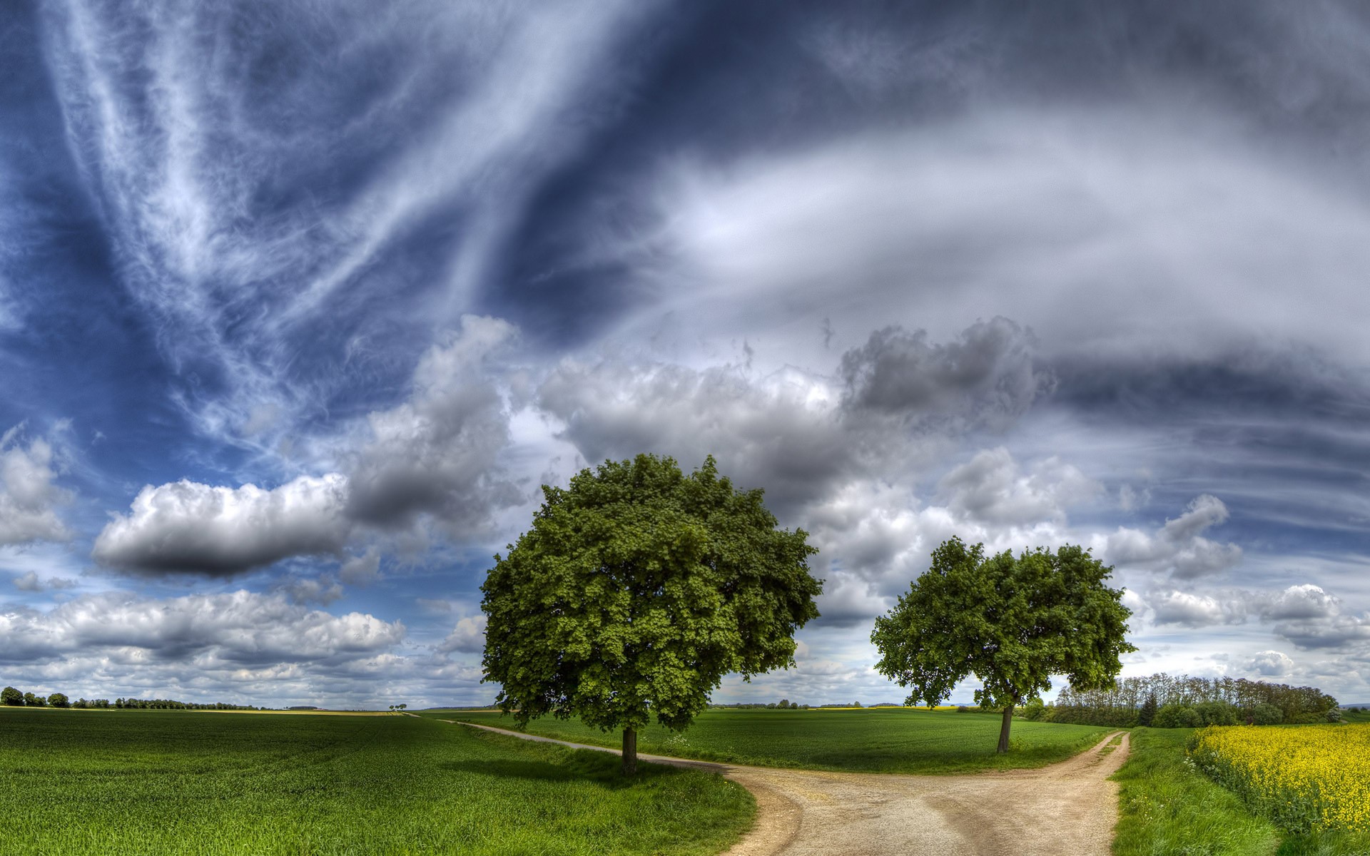 Download mobile wallpaper Landscape, Nature, Grass, Sky, Road, Tree, Earth, Path, Cloud for free.