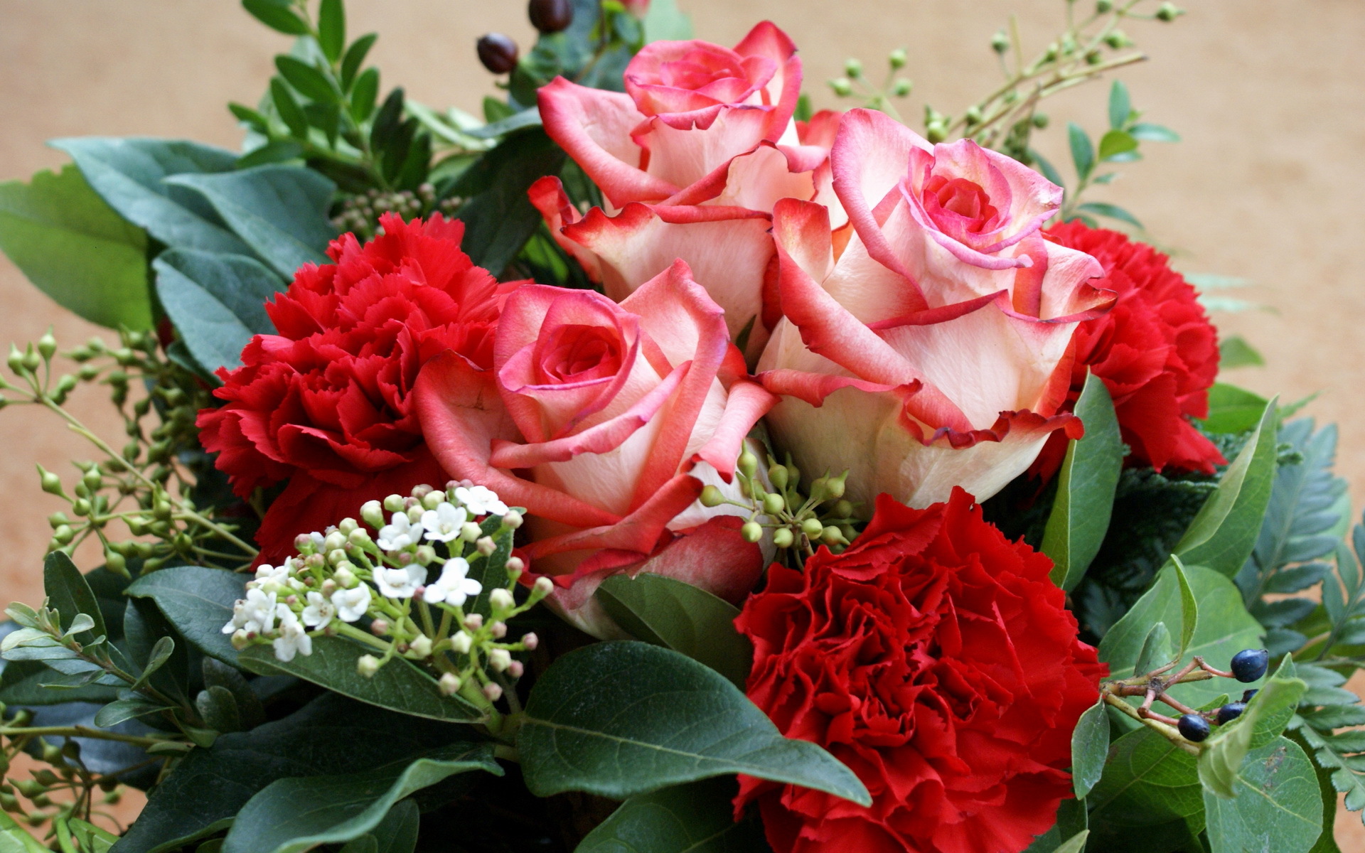Handy-Wallpaper Blumen, Roses, Bouquets, Pflanzen kostenlos herunterladen.