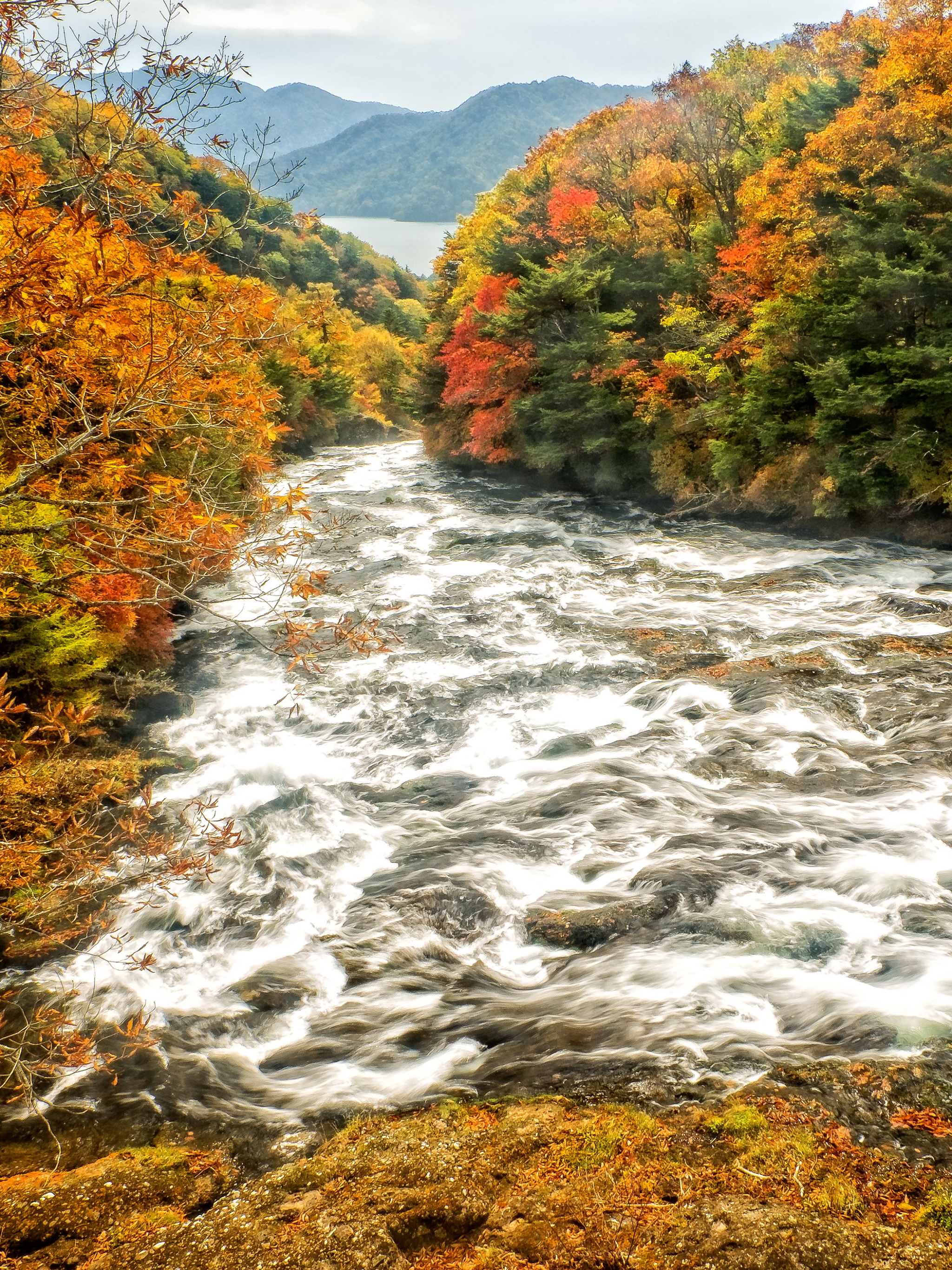 Handy-Wallpaper Fluss, Erde/natur kostenlos herunterladen.