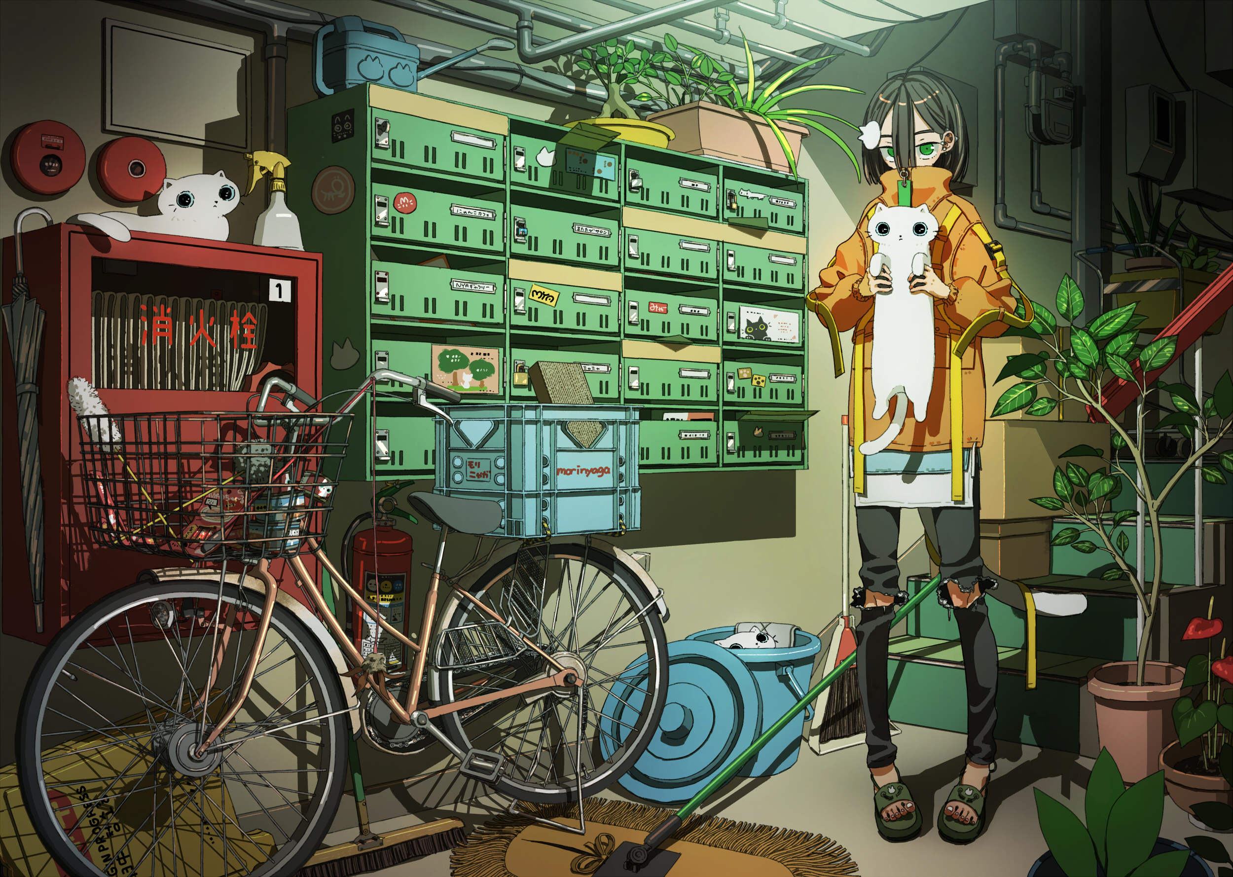 Handy-Wallpaper Mädchen, Katze, Fahrrad, Animes kostenlos herunterladen.