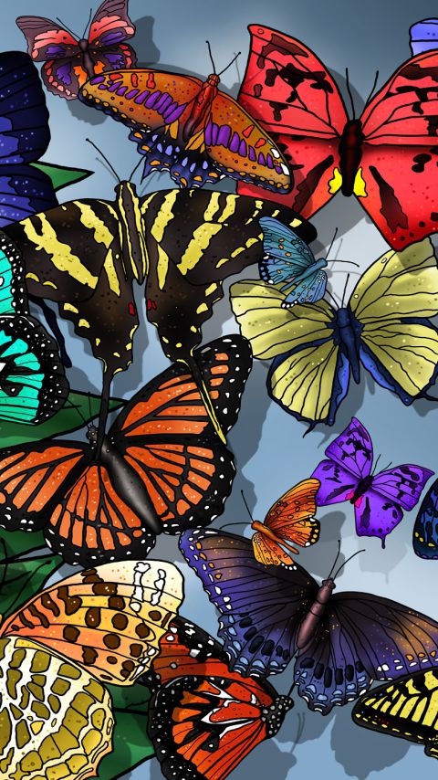 Descarga gratuita de fondo de pantalla para móvil de Colores, Mariposa, Vistoso, Artístico.