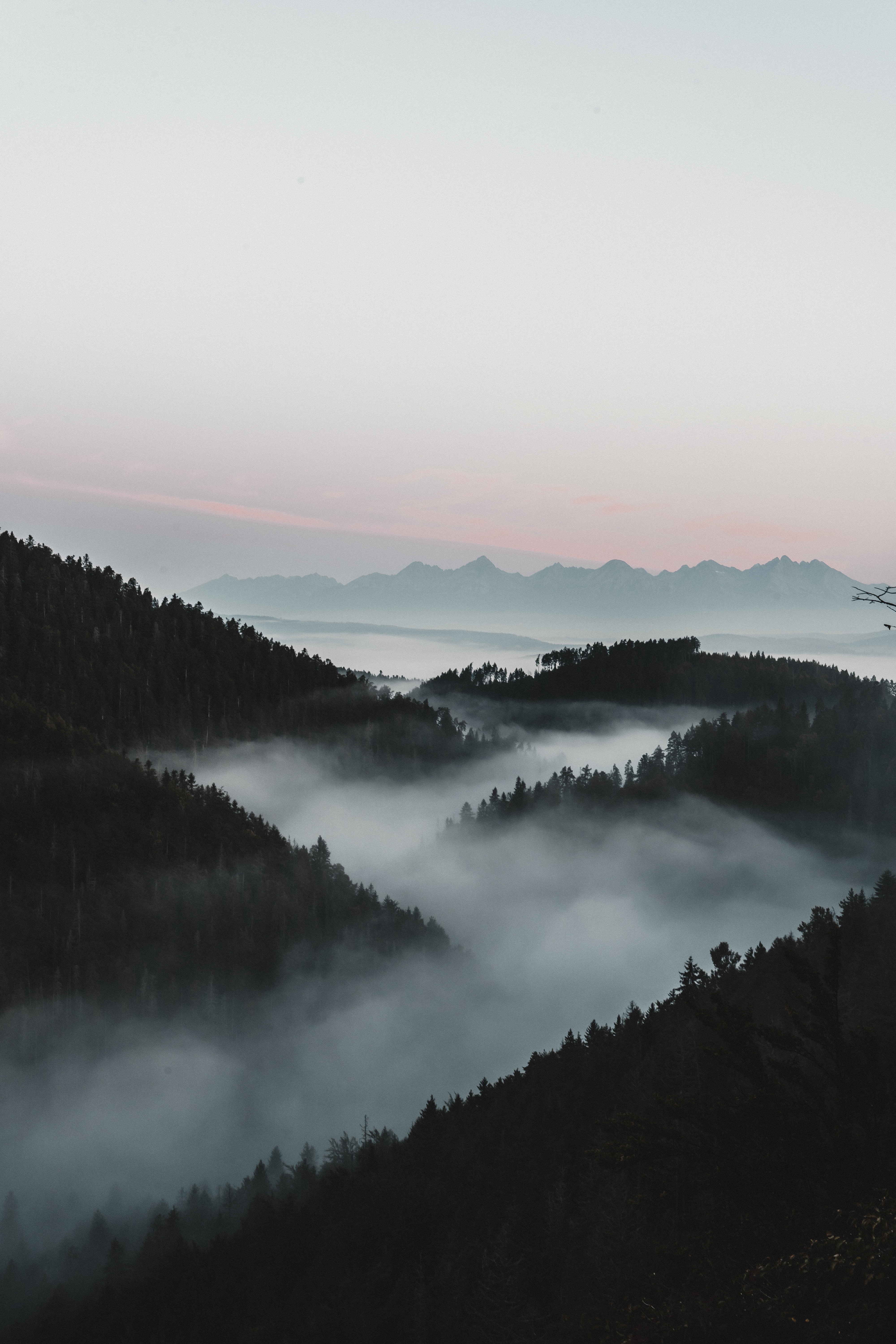 Laden Sie das Mountains, Blick Von Oben, Nebel, Dämmerung, Twilight, Natur, Wald-Bild kostenlos auf Ihren PC-Desktop herunter