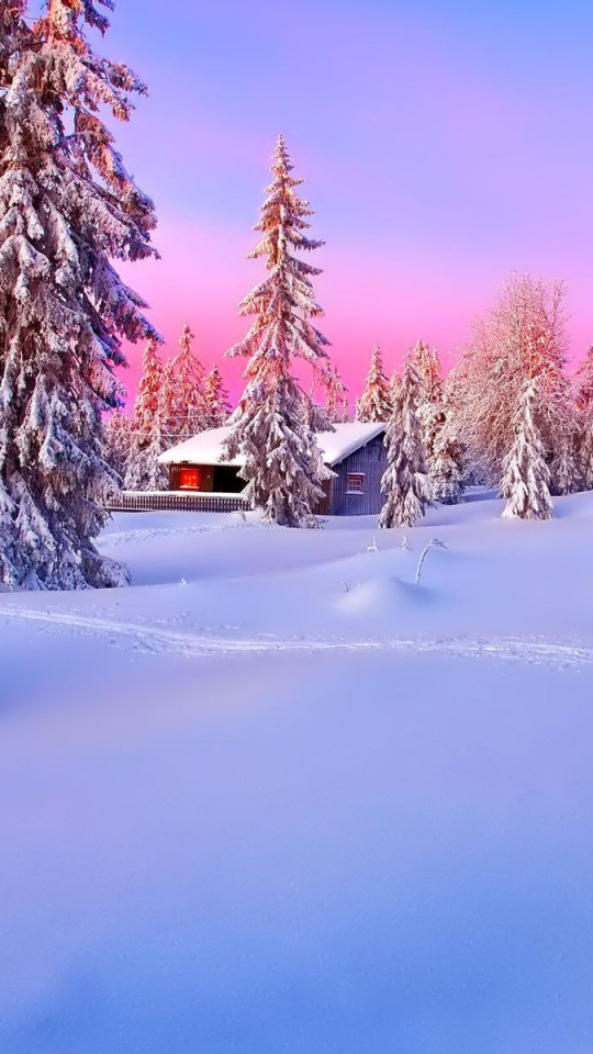 Скачать картинку Зима, Снег, Лес, Дерево, Домик, Кабина, Сделано Человеком в телефон бесплатно.