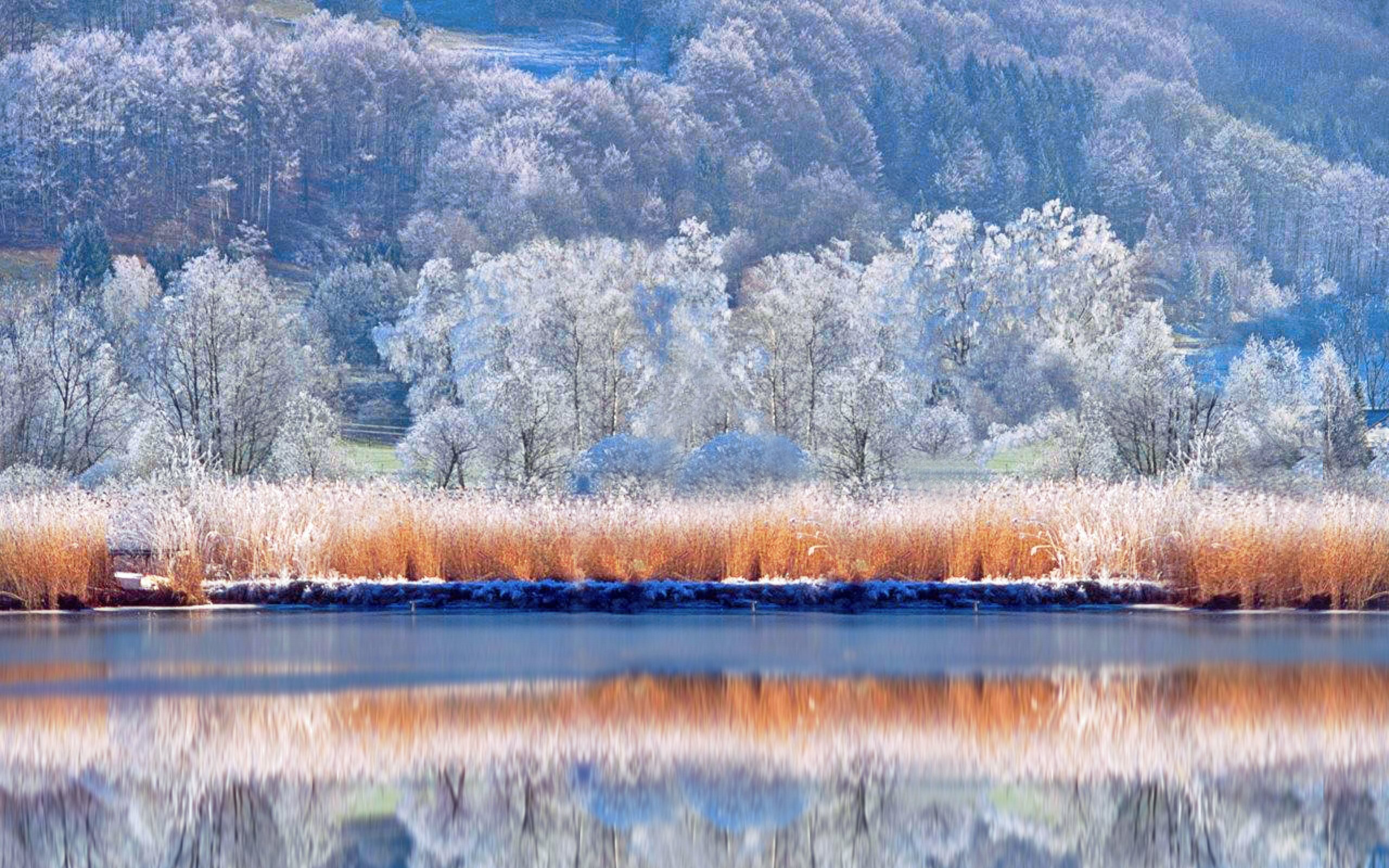 1483857 Hintergrundbild herunterladen natur, schnee, erde/natur, winter, betrachtung - Bildschirmschoner und Bilder kostenlos