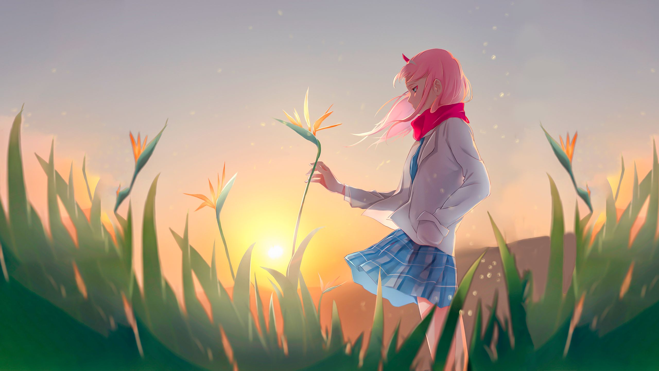 Free download wallpaper Anime, Sunset, Flower, Darling In The Franxx, Zero Two (Darling In The Franxx) on your PC desktop