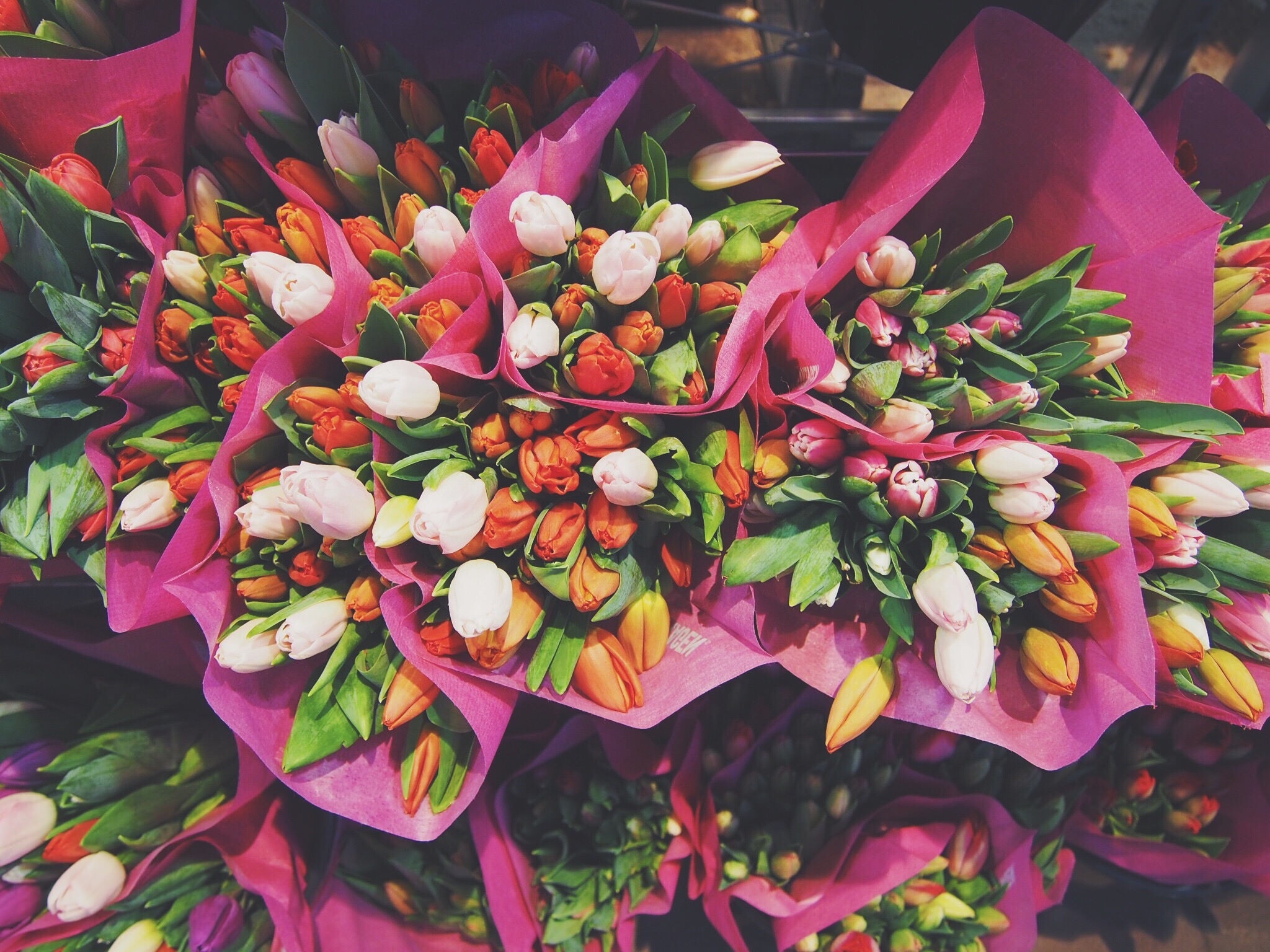 flowers, tulips, bouquets 1080p