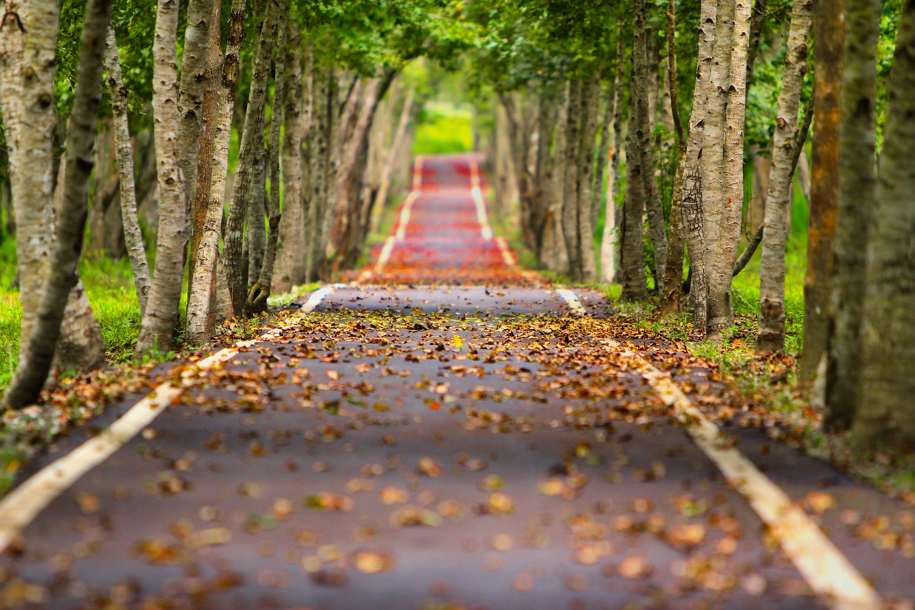 Descarga gratuita de fondo de pantalla para móvil de Carretera, Hecho Por El Hombre.