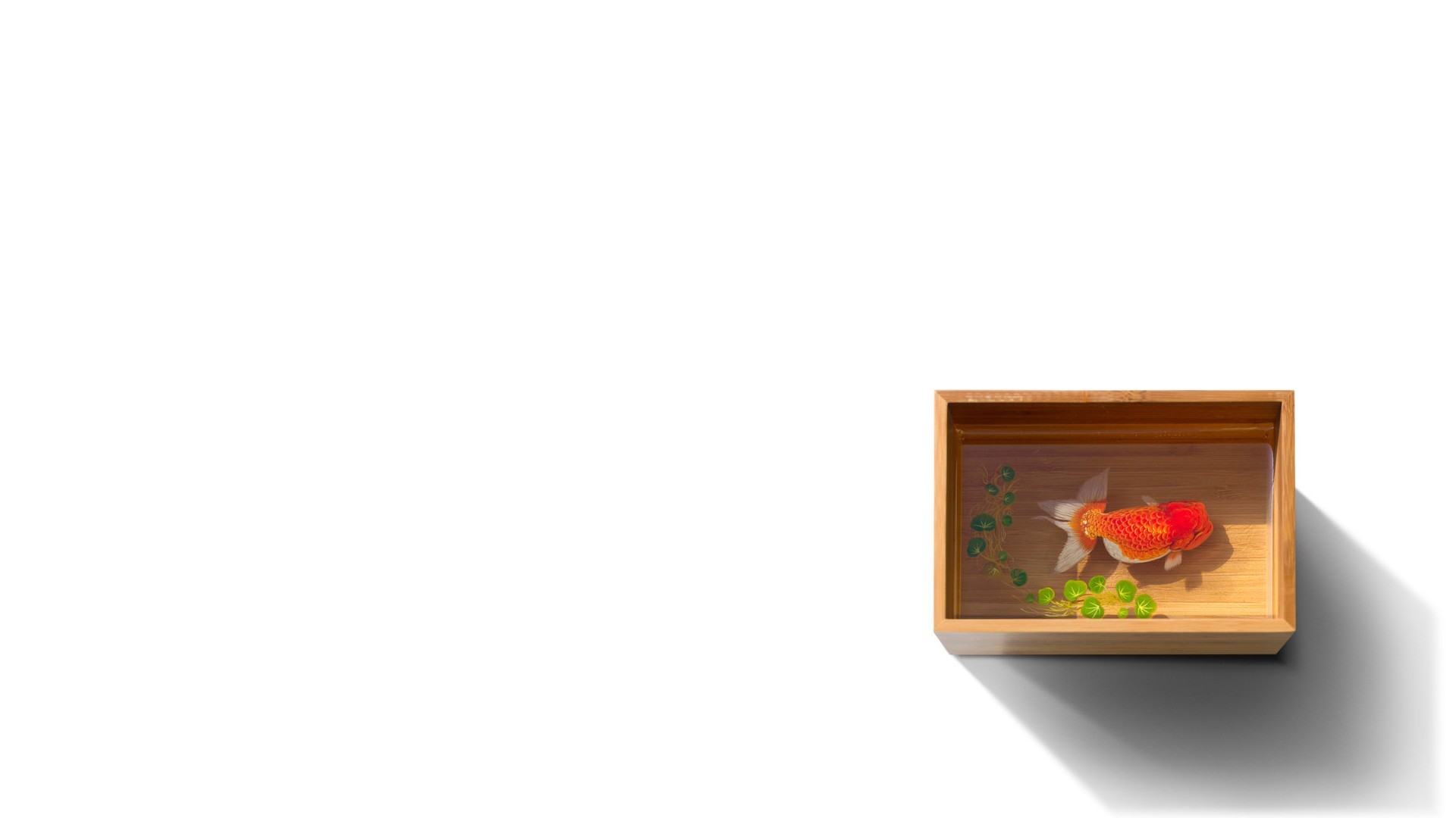 Handy-Wallpaper Tiere, Fisch, Goldfische kostenlos herunterladen.