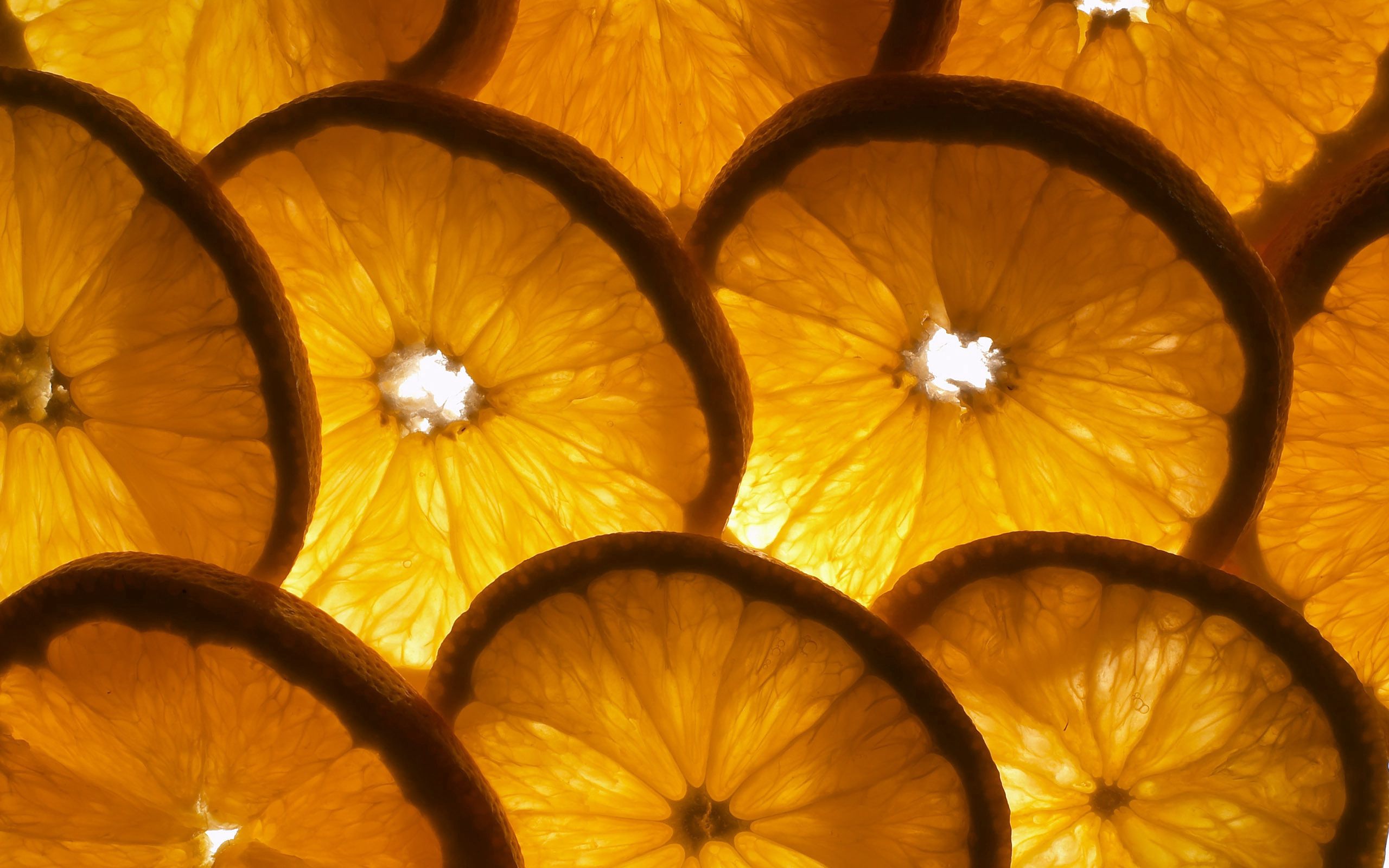 155579 descargar imagen naranja, macro, la forma, forma, la fruta, fruta, un circulo, circunferencia, lóbulos, rebanadas: fondos de pantalla y protectores de pantalla gratis