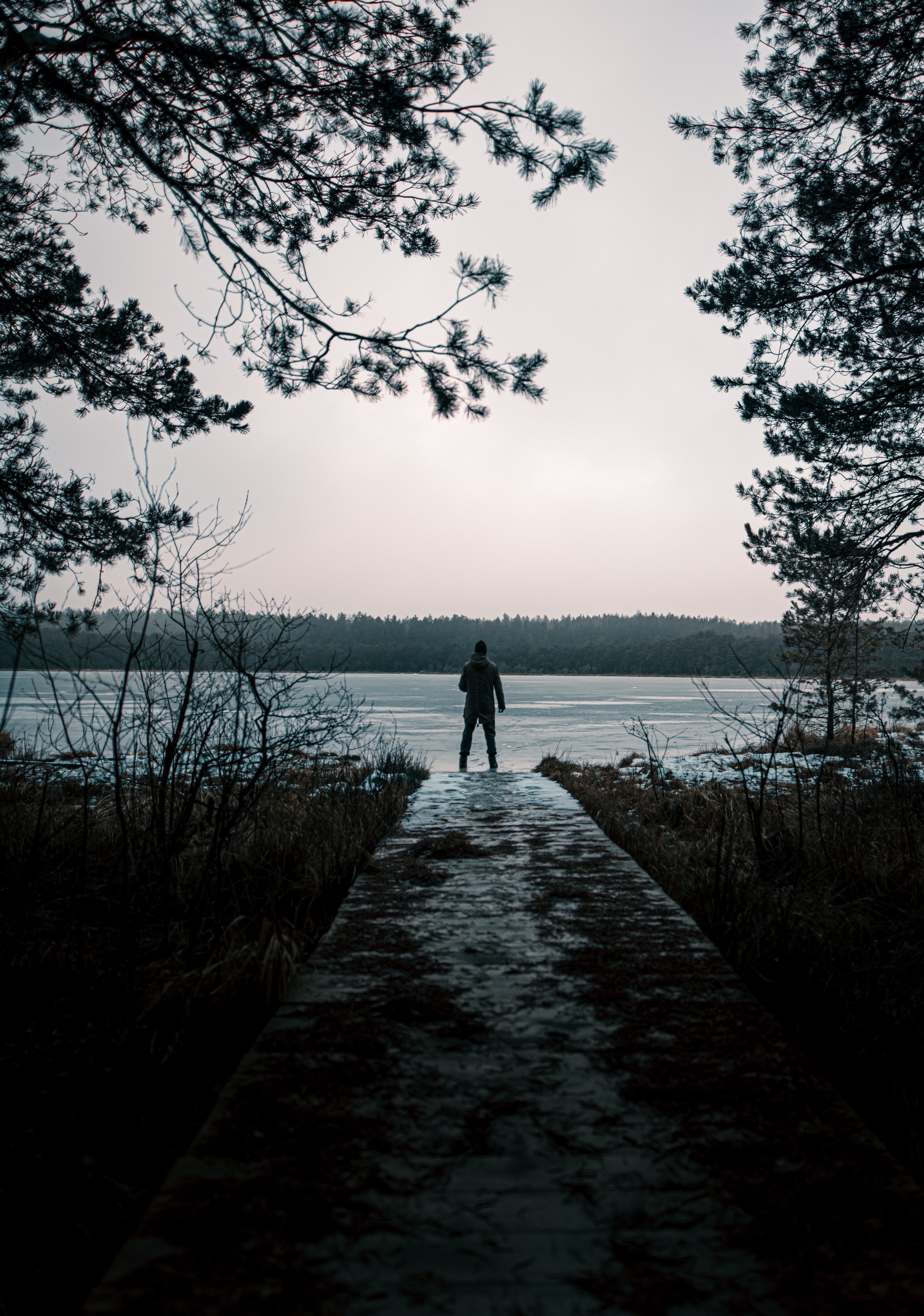 Free download wallpaper Miscellanea, Miscellaneous, View, Person, Loneliness, Lake, Human, Nature on your PC desktop