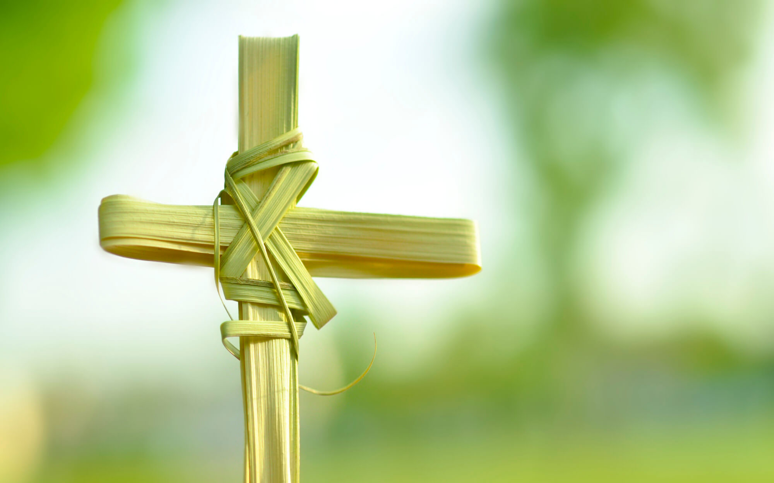 Download mobile wallpaper Cross, Religious, Palm Sunday for free.