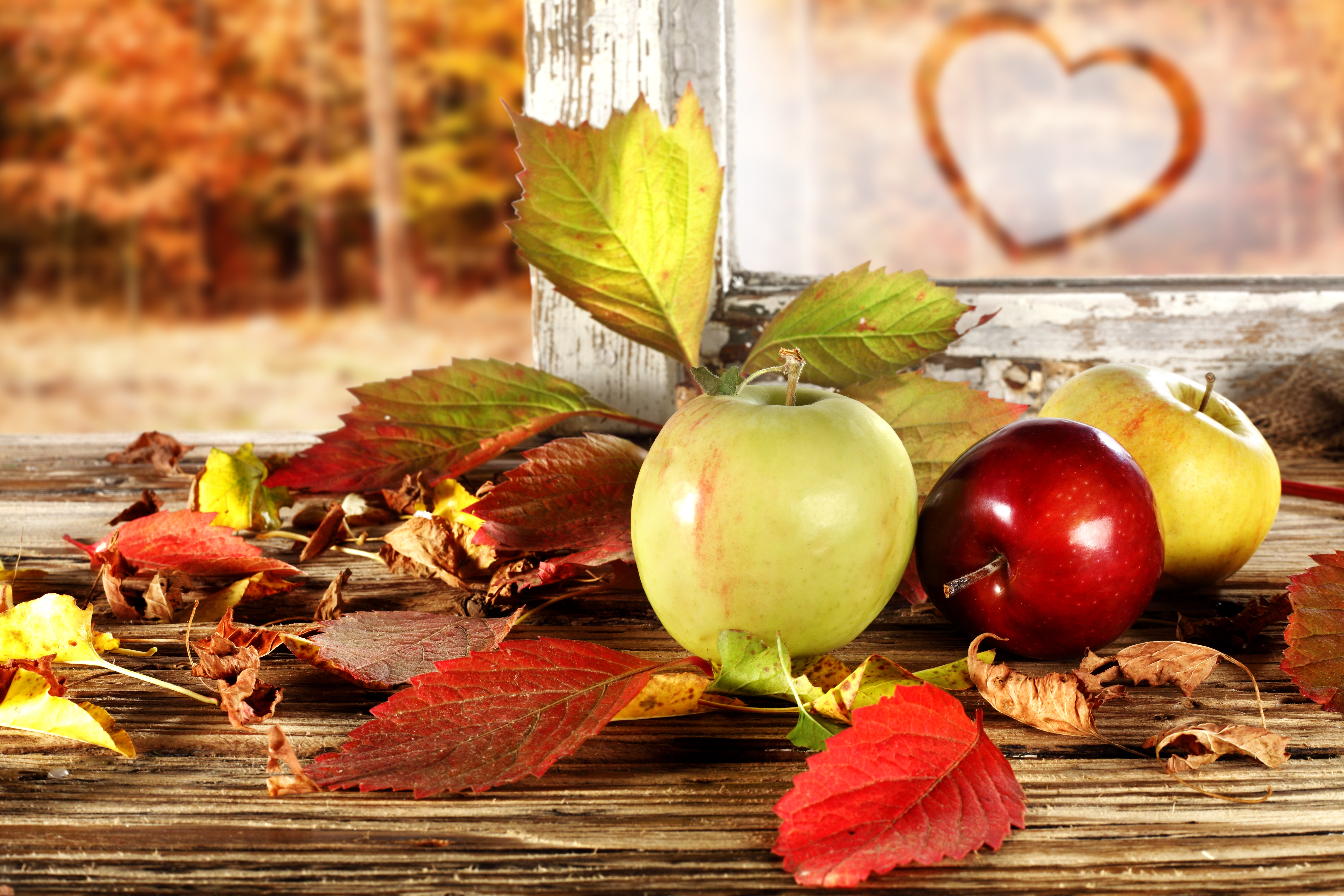 Handy-Wallpaper Herbst, Blatt, Apfel, Nahrungsmittel, Stillleben, Früchte kostenlos herunterladen.