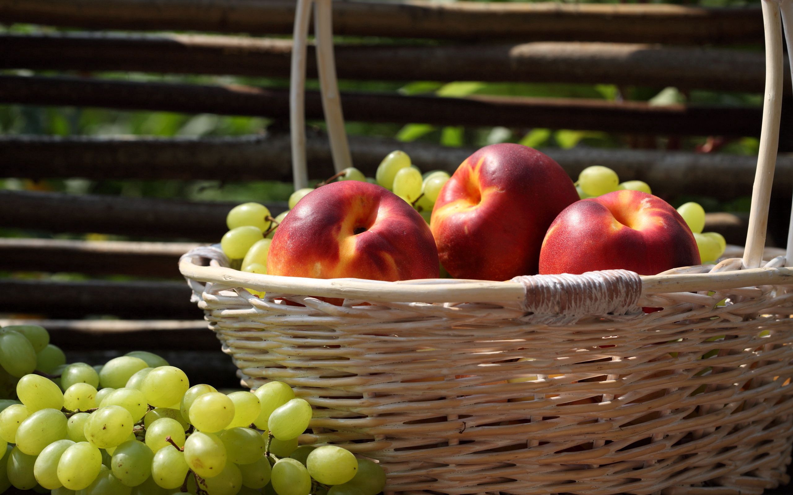 88903 baixar imagens comida, maçãs, uvas, cesta, cesto, colheita - papéis de parede e protetores de tela gratuitamente